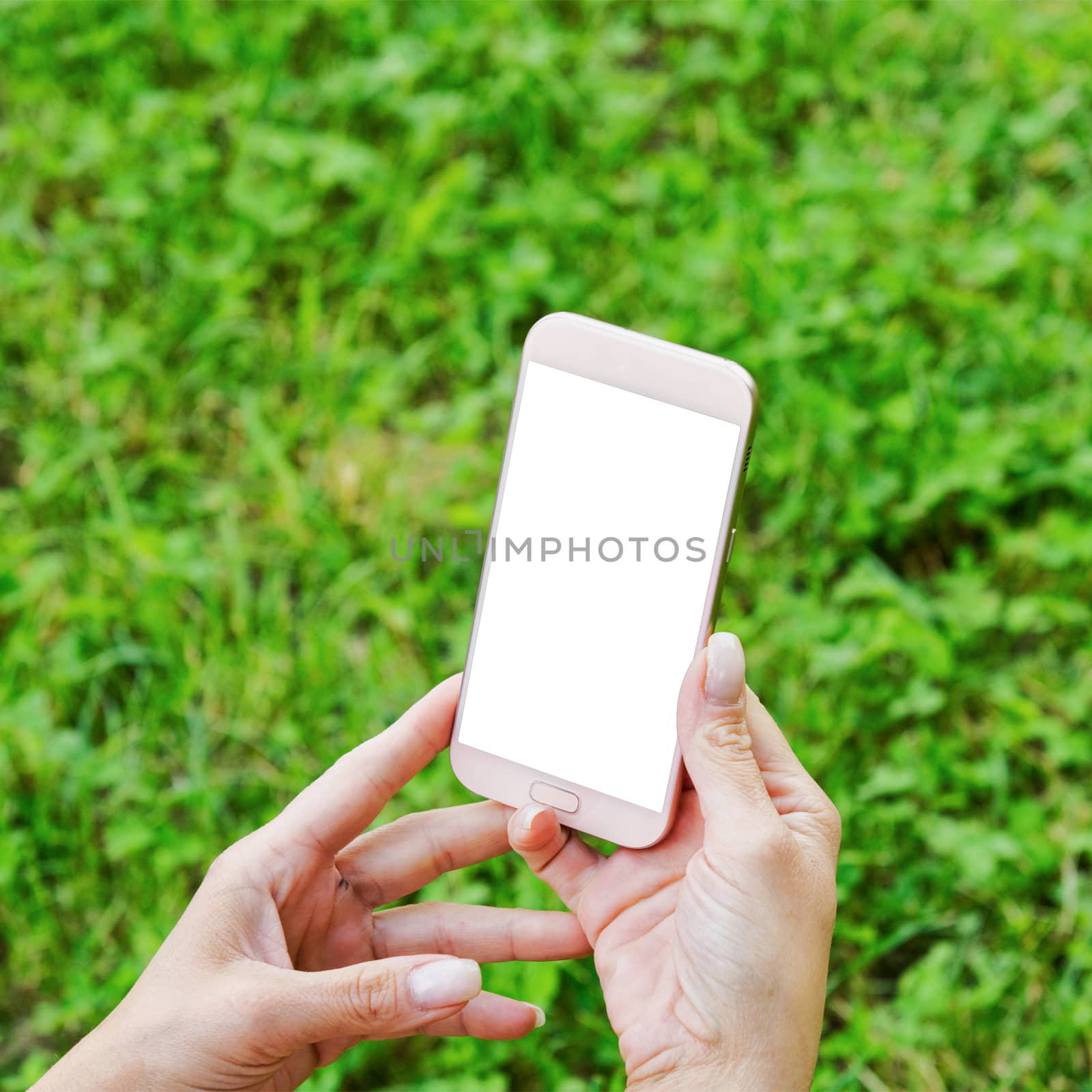 Pink mobile phone in women hand and blurred background