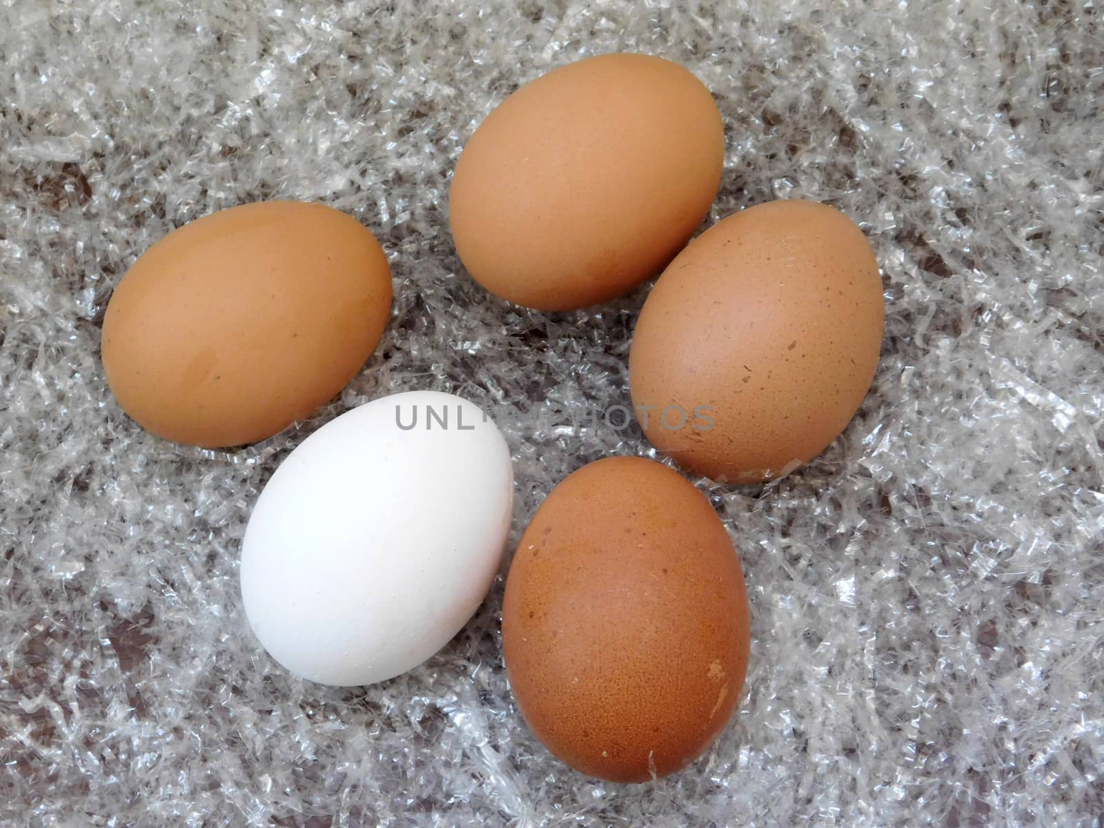 eggs