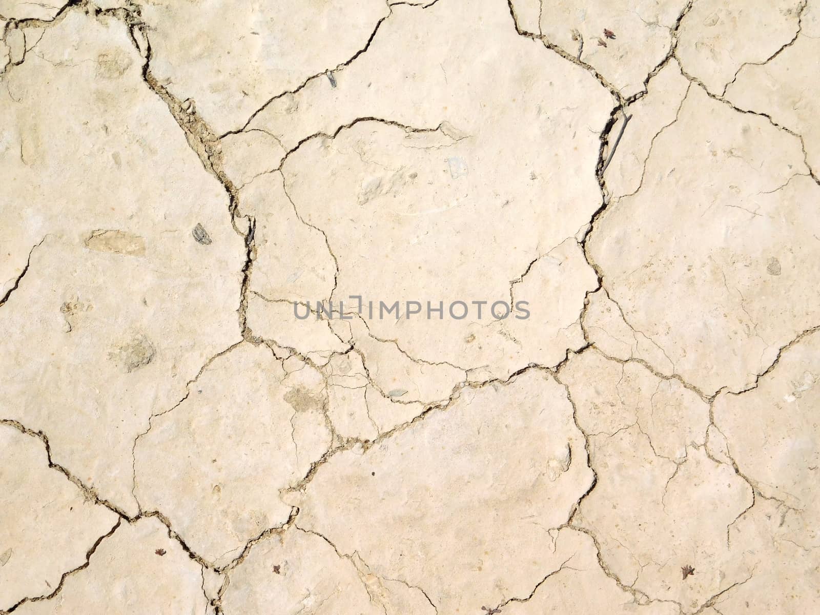 dry land