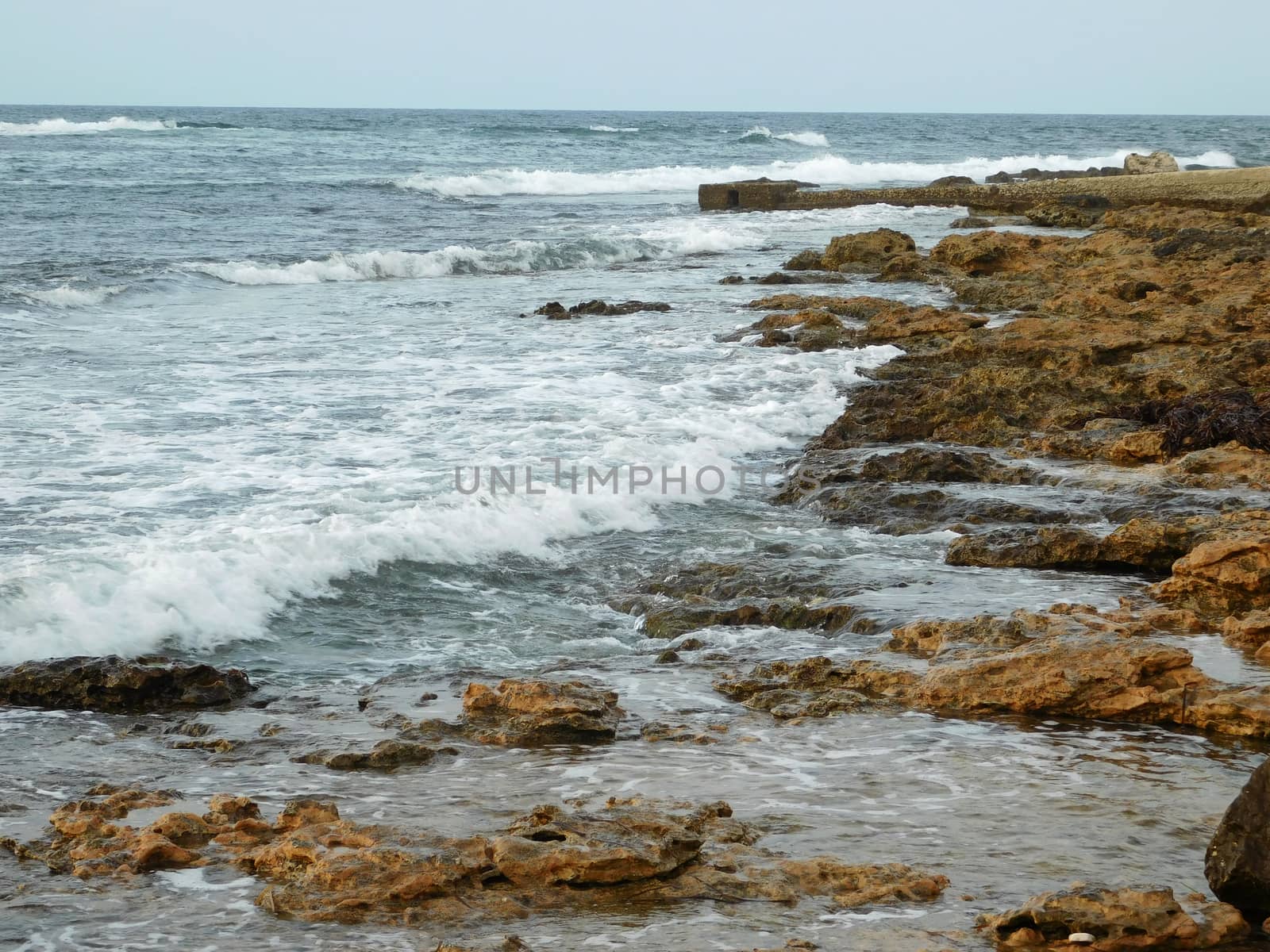 sea