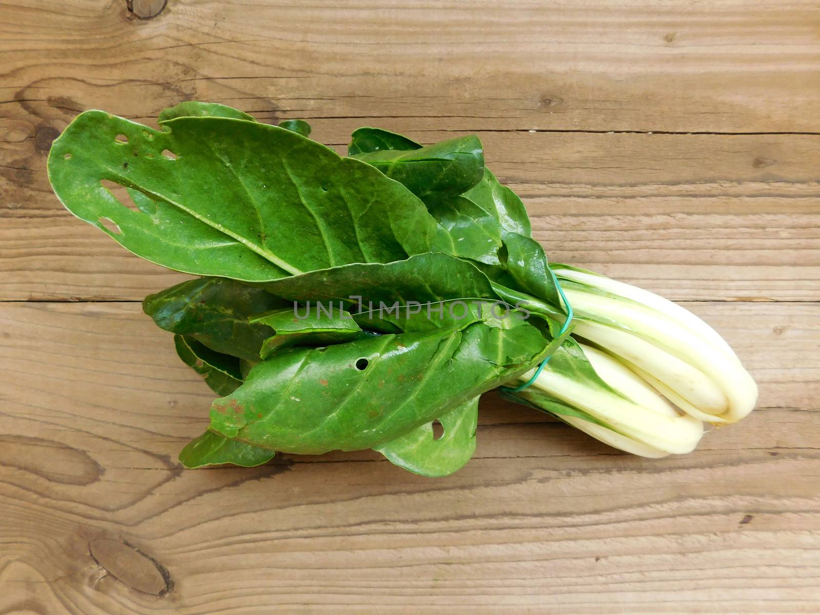 vegetable