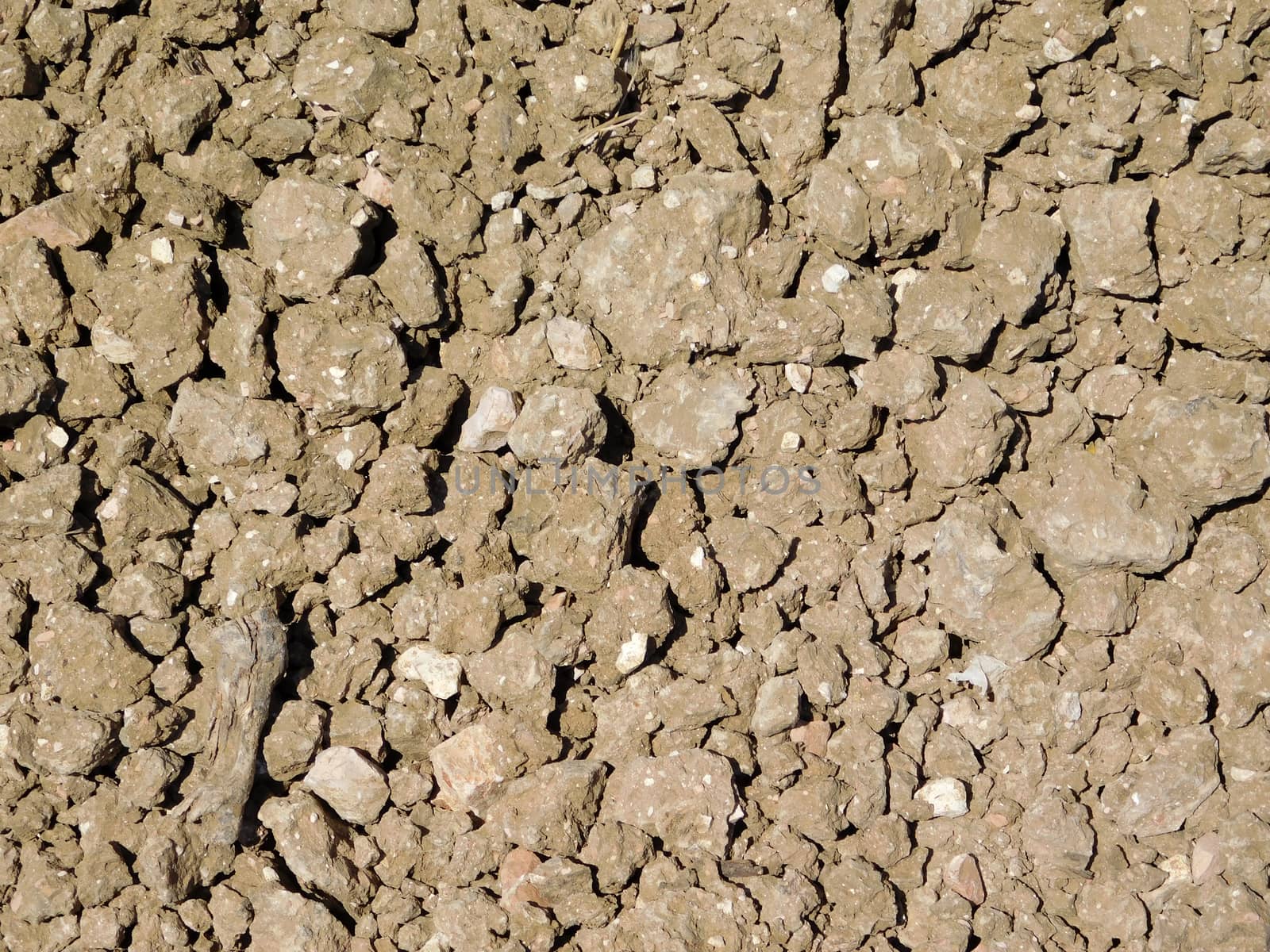 earth texture