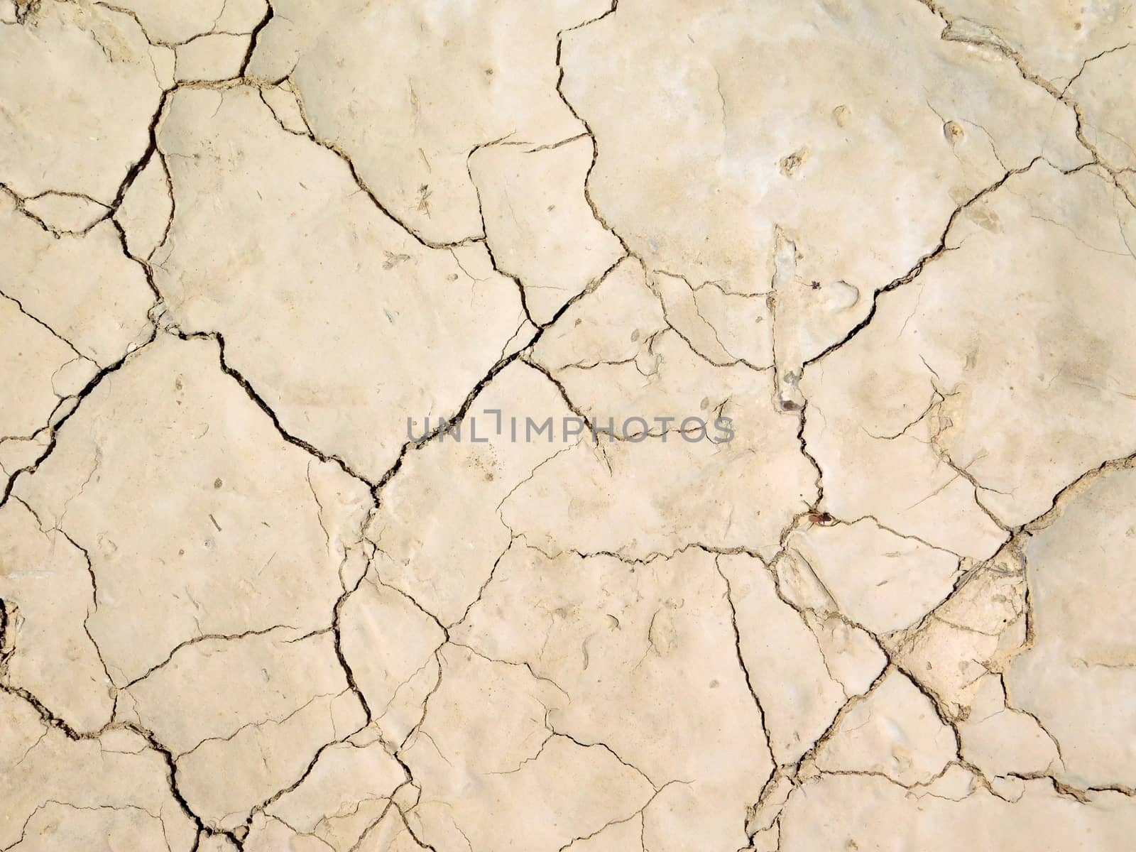 dry land