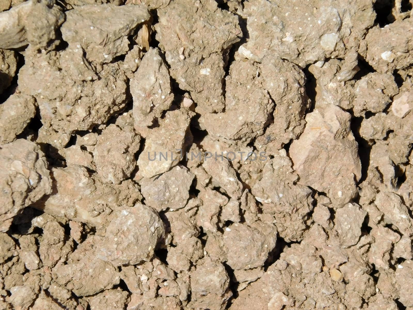 earth texture