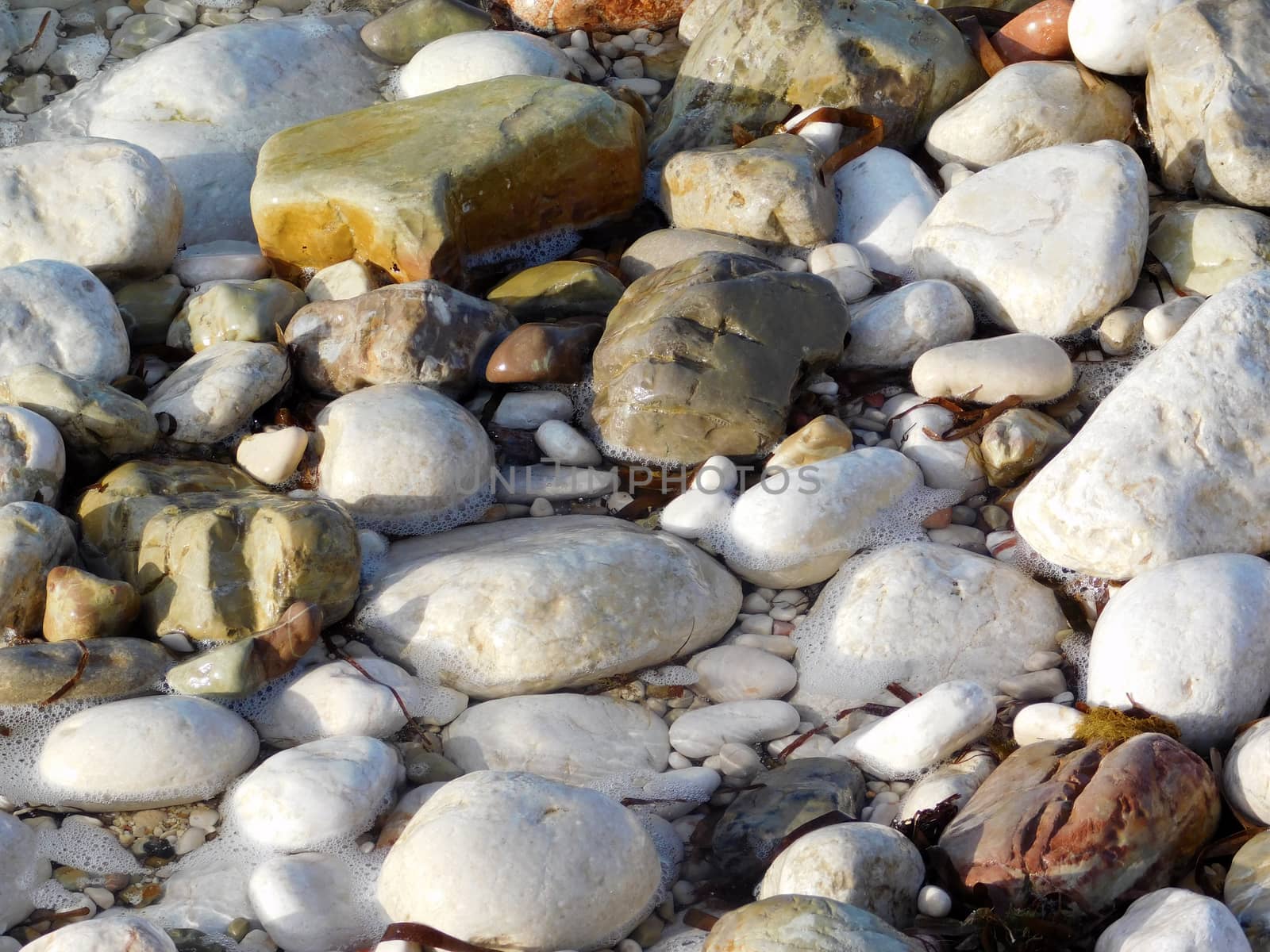 sea pebbles
