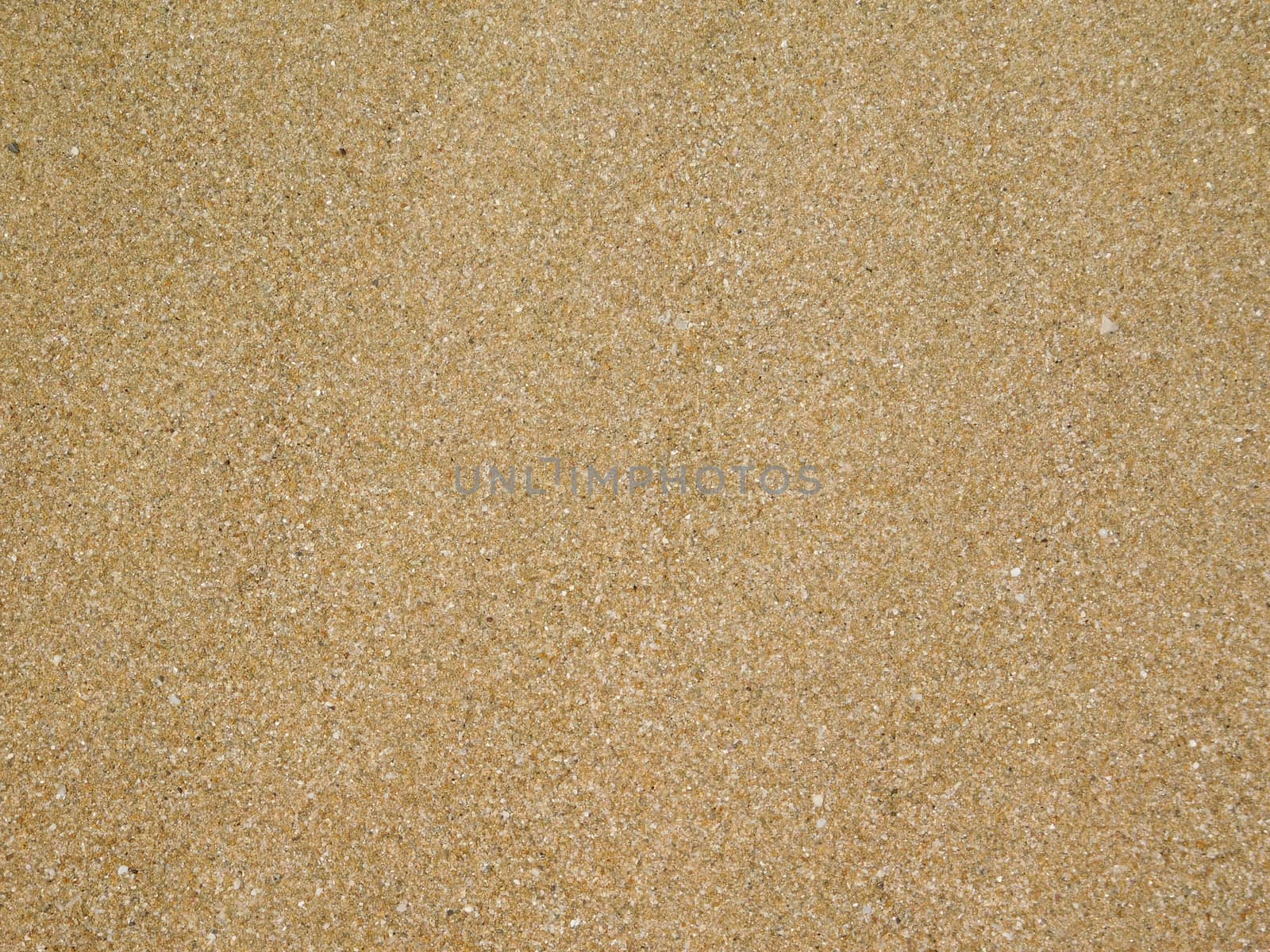 sand texture