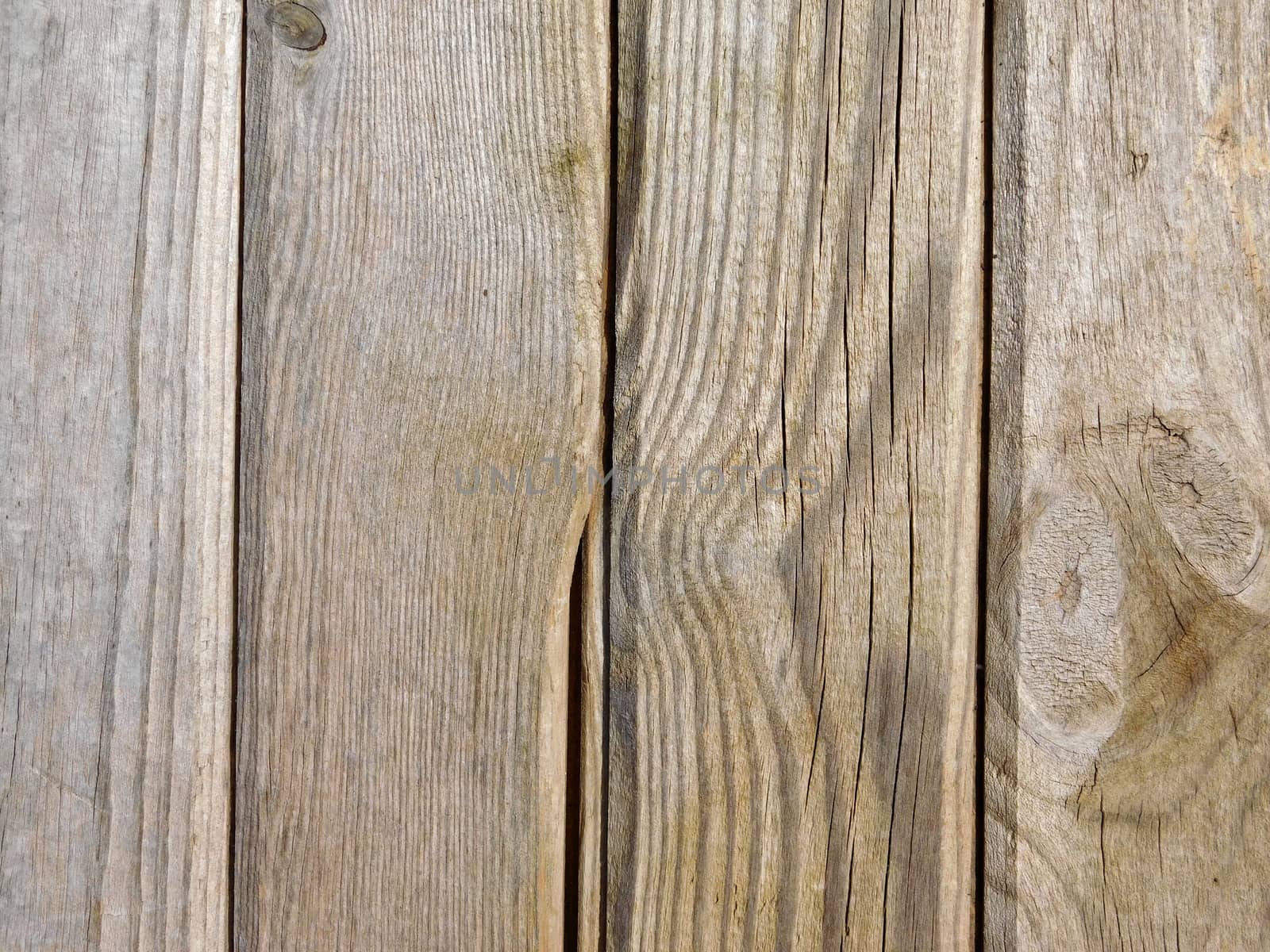 wood texture