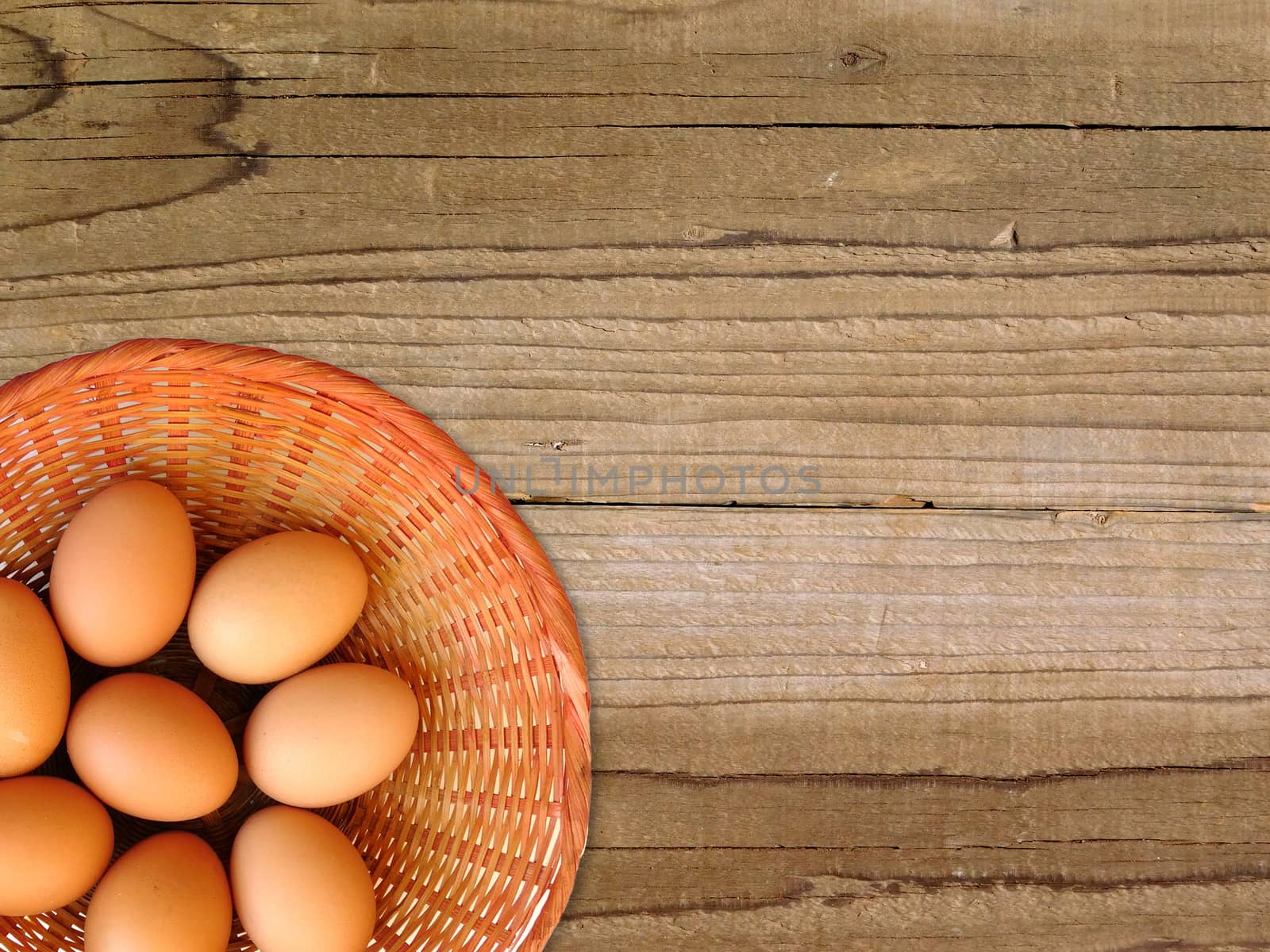 eggs