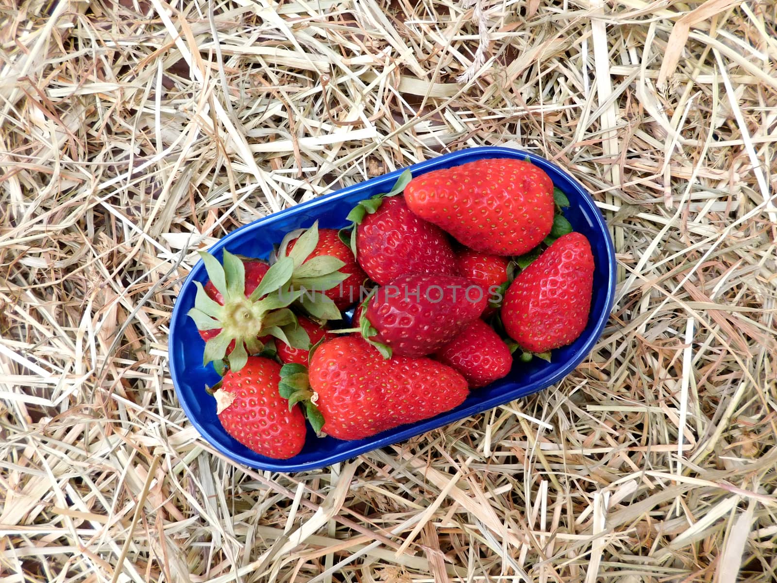 strawberries