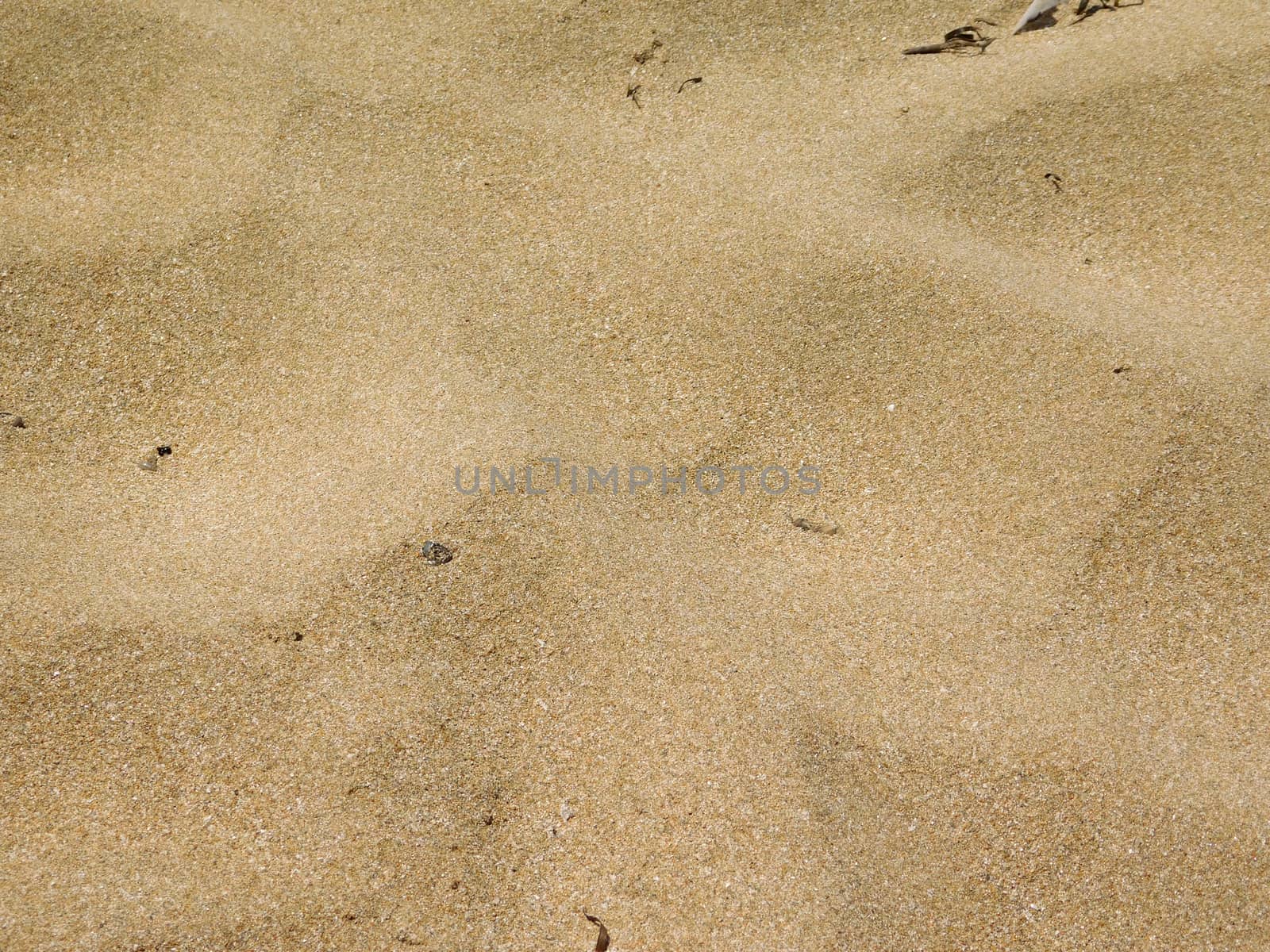 sand texture