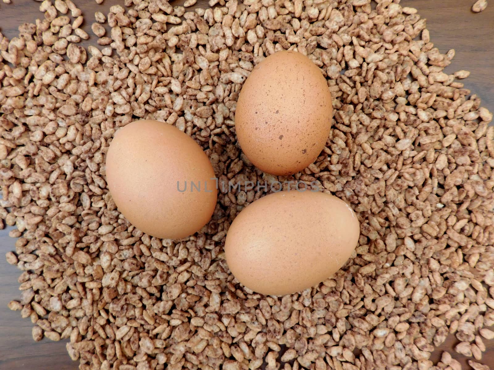 eggs