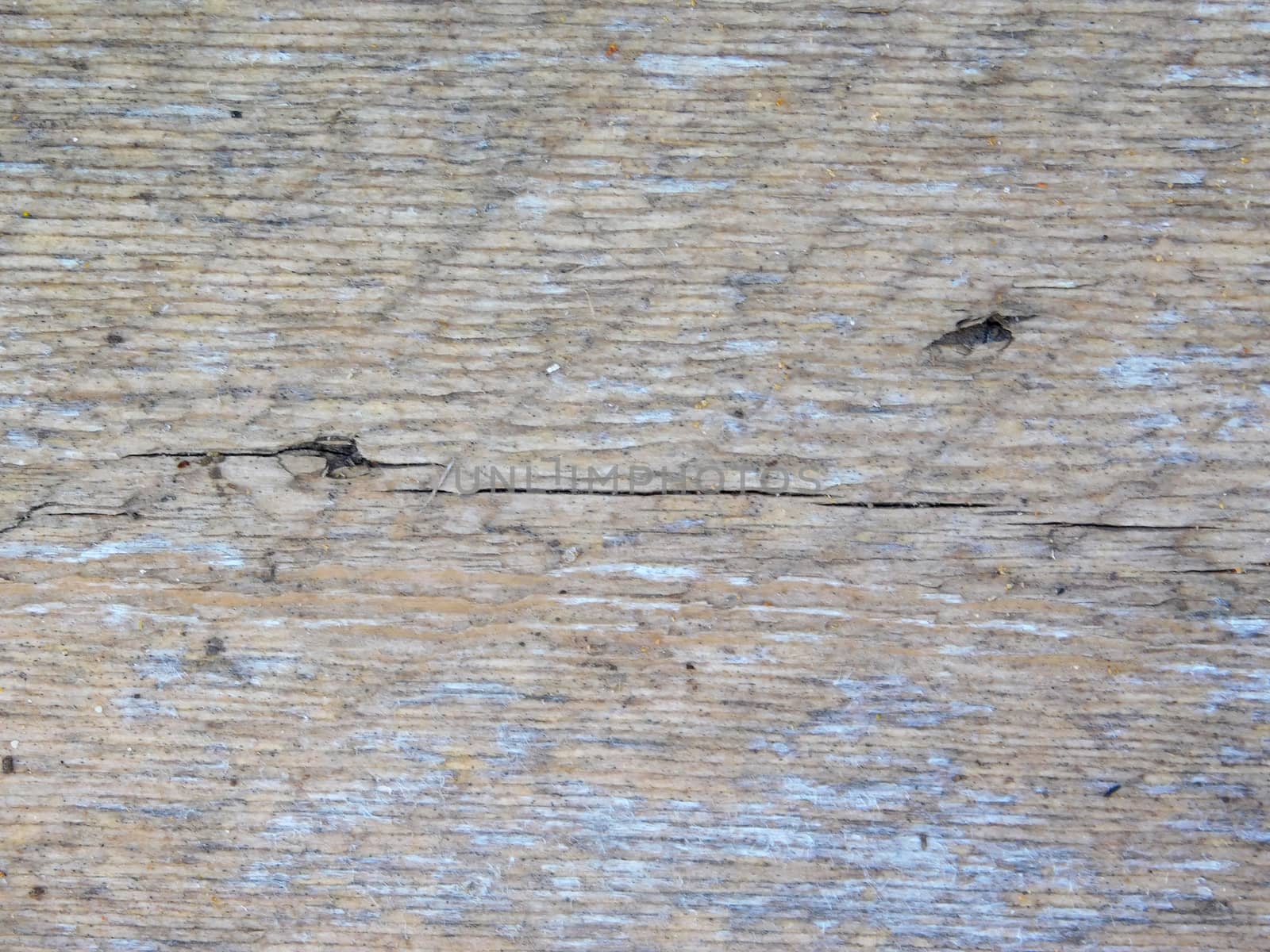 wood texture