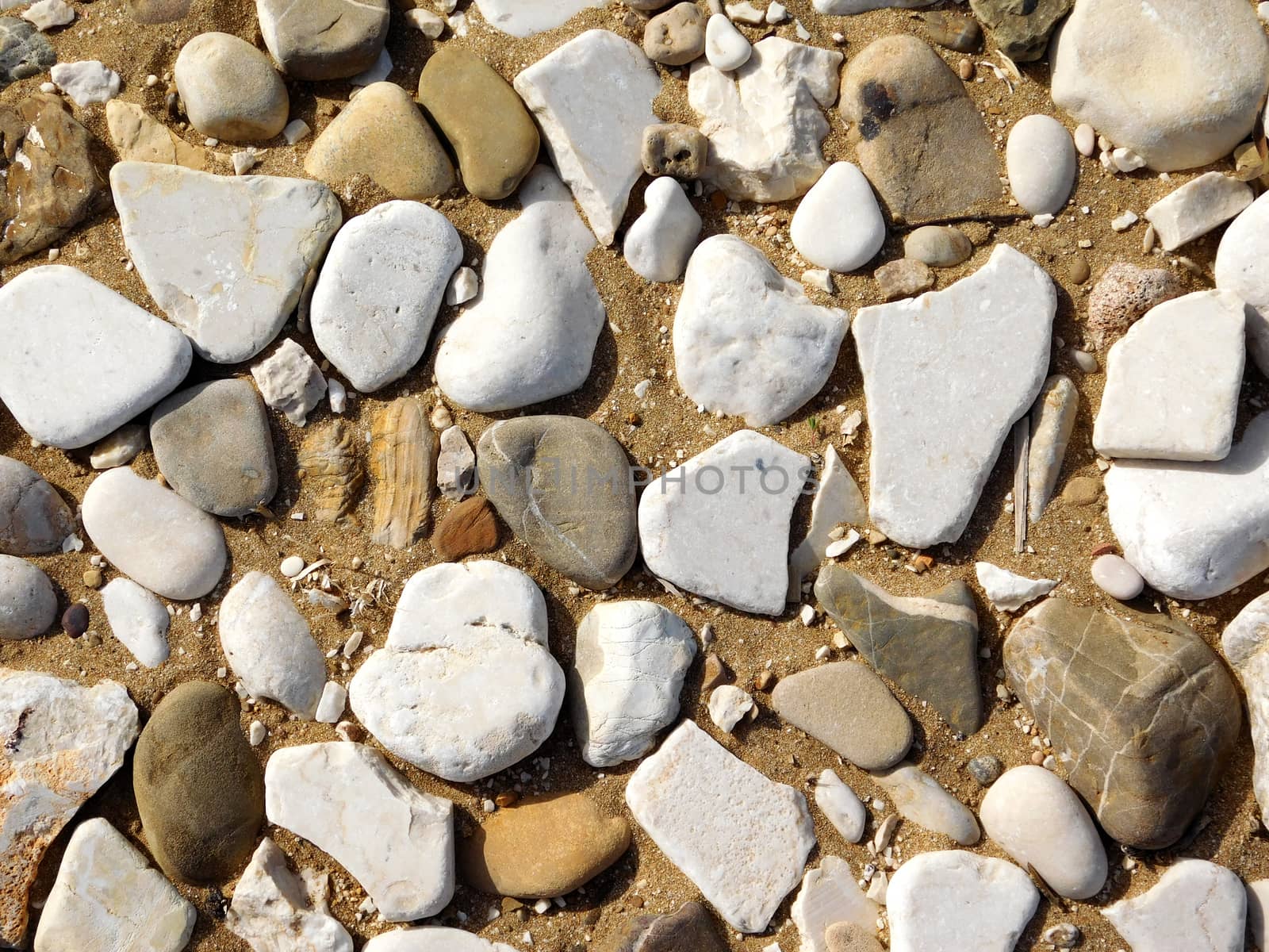 stones in the sand
