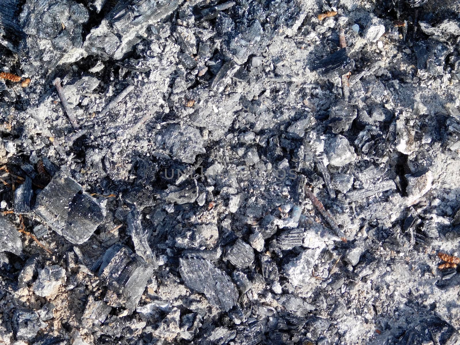 coal