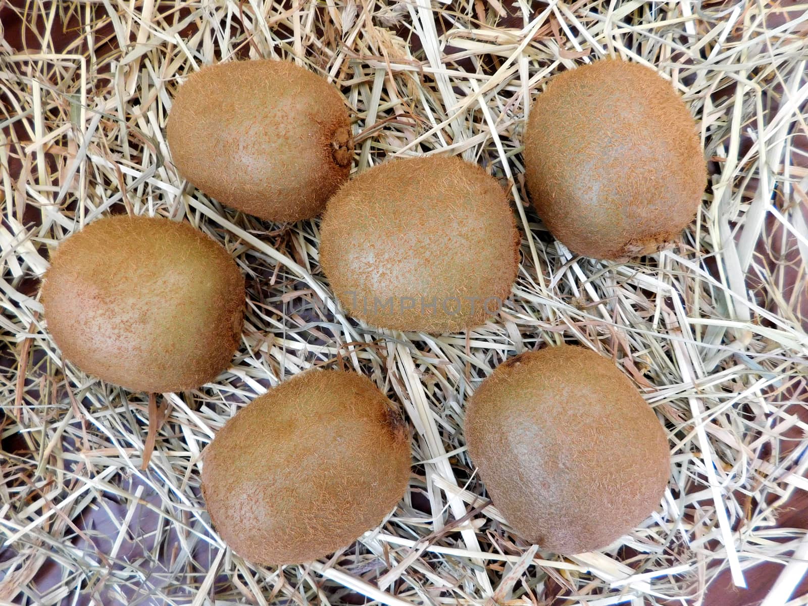 Kiwi