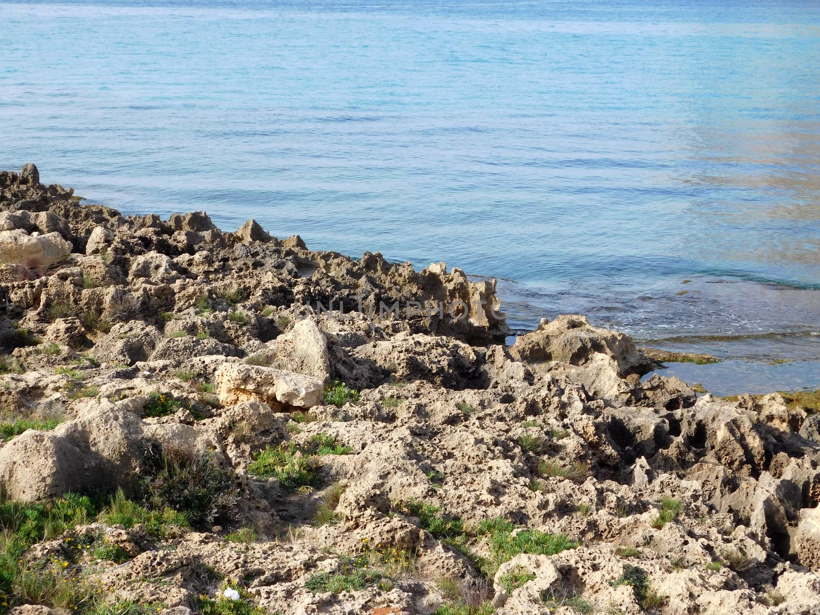 sea