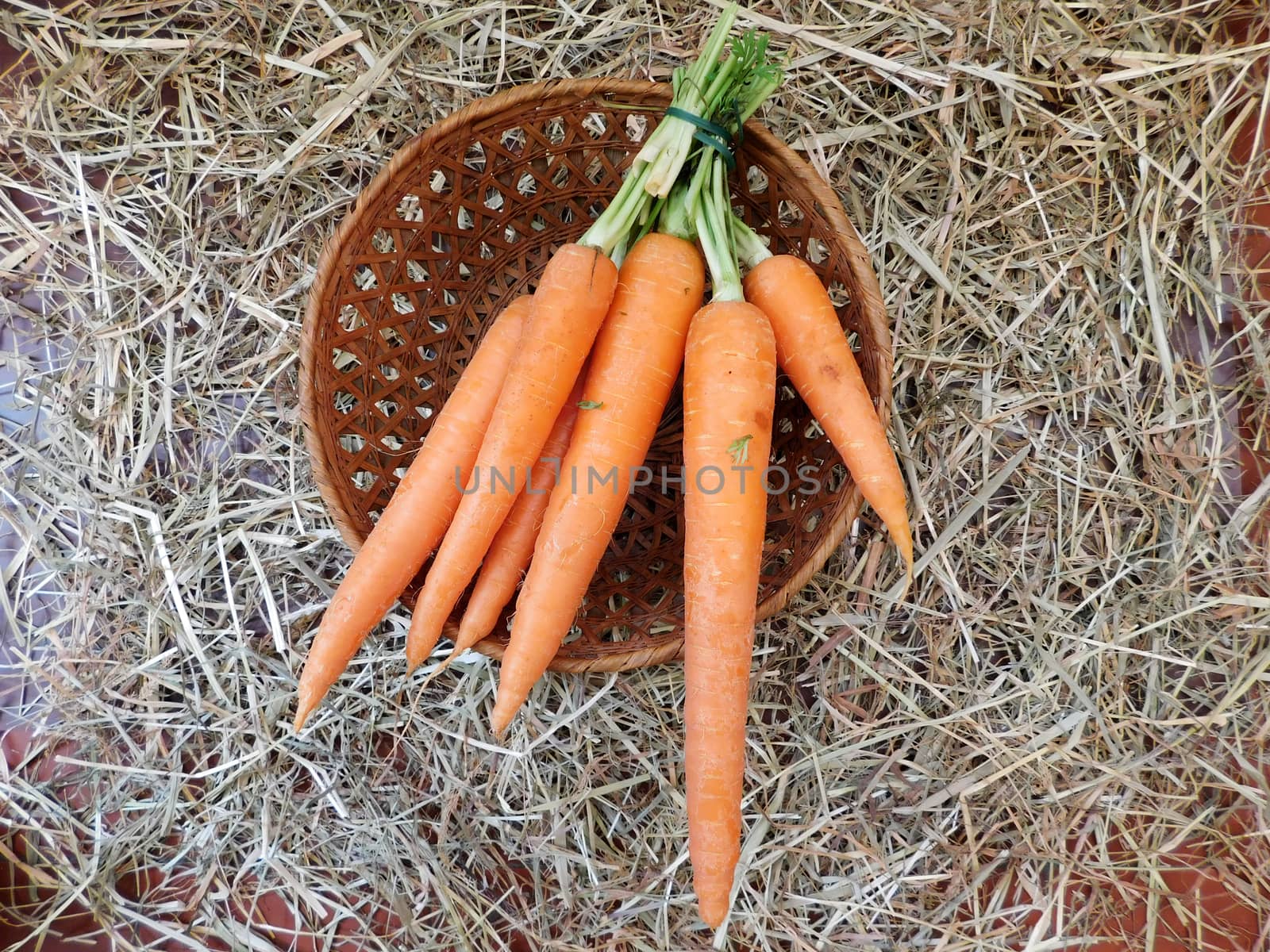 carrots