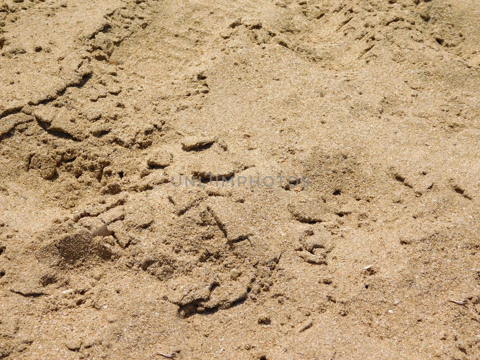 sand texture