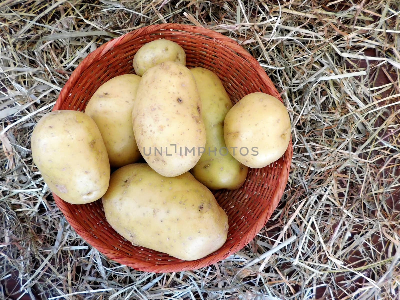 potatoes
