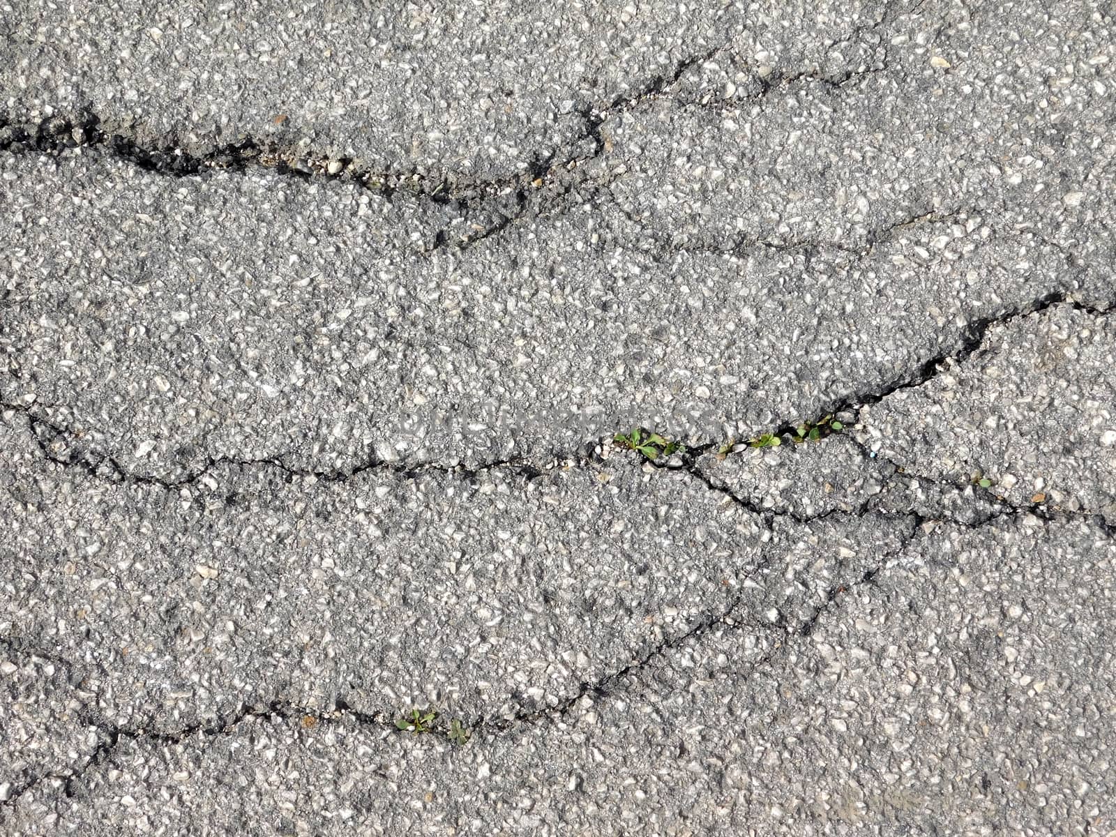 landslide road
