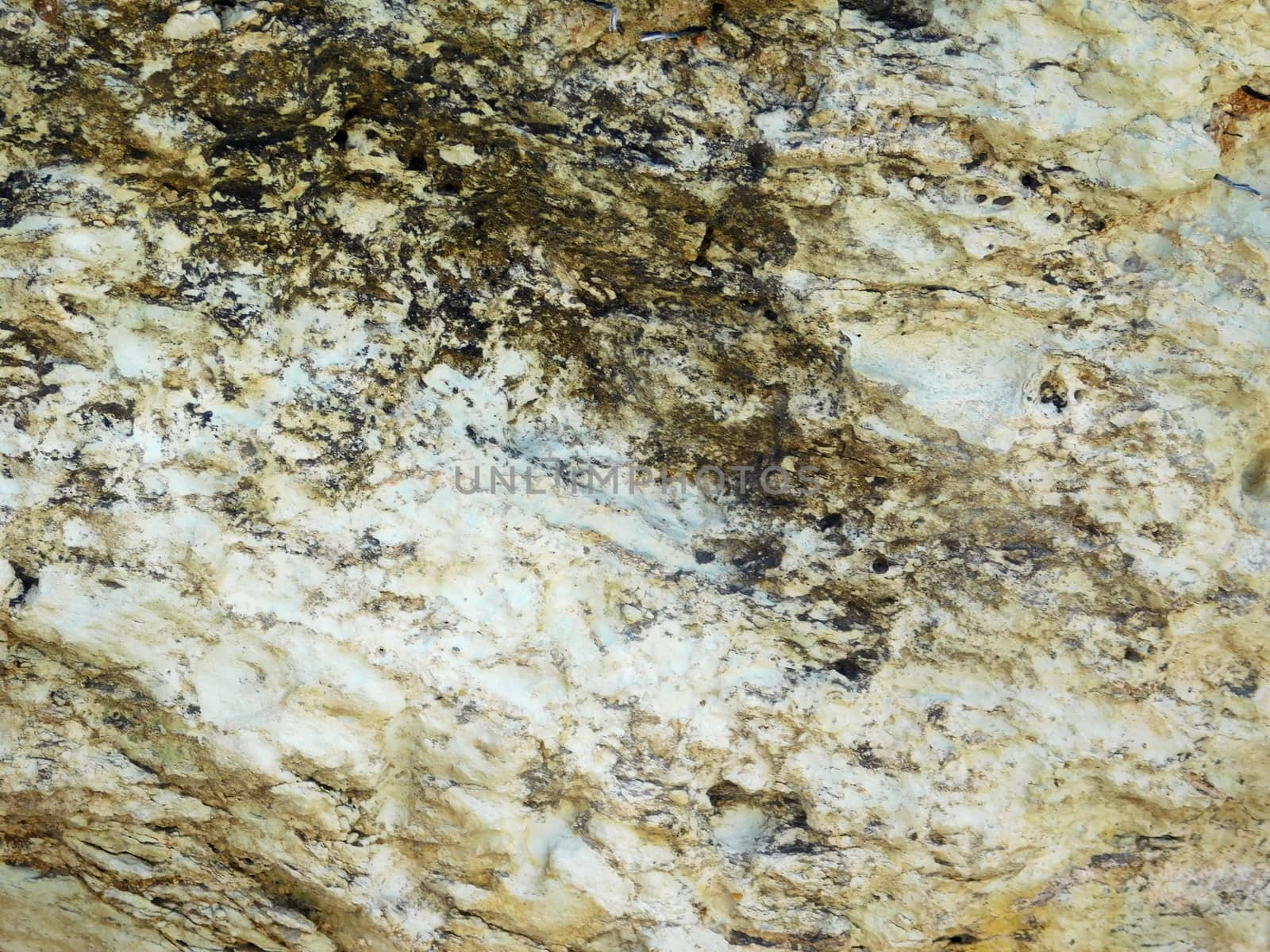 marble texture