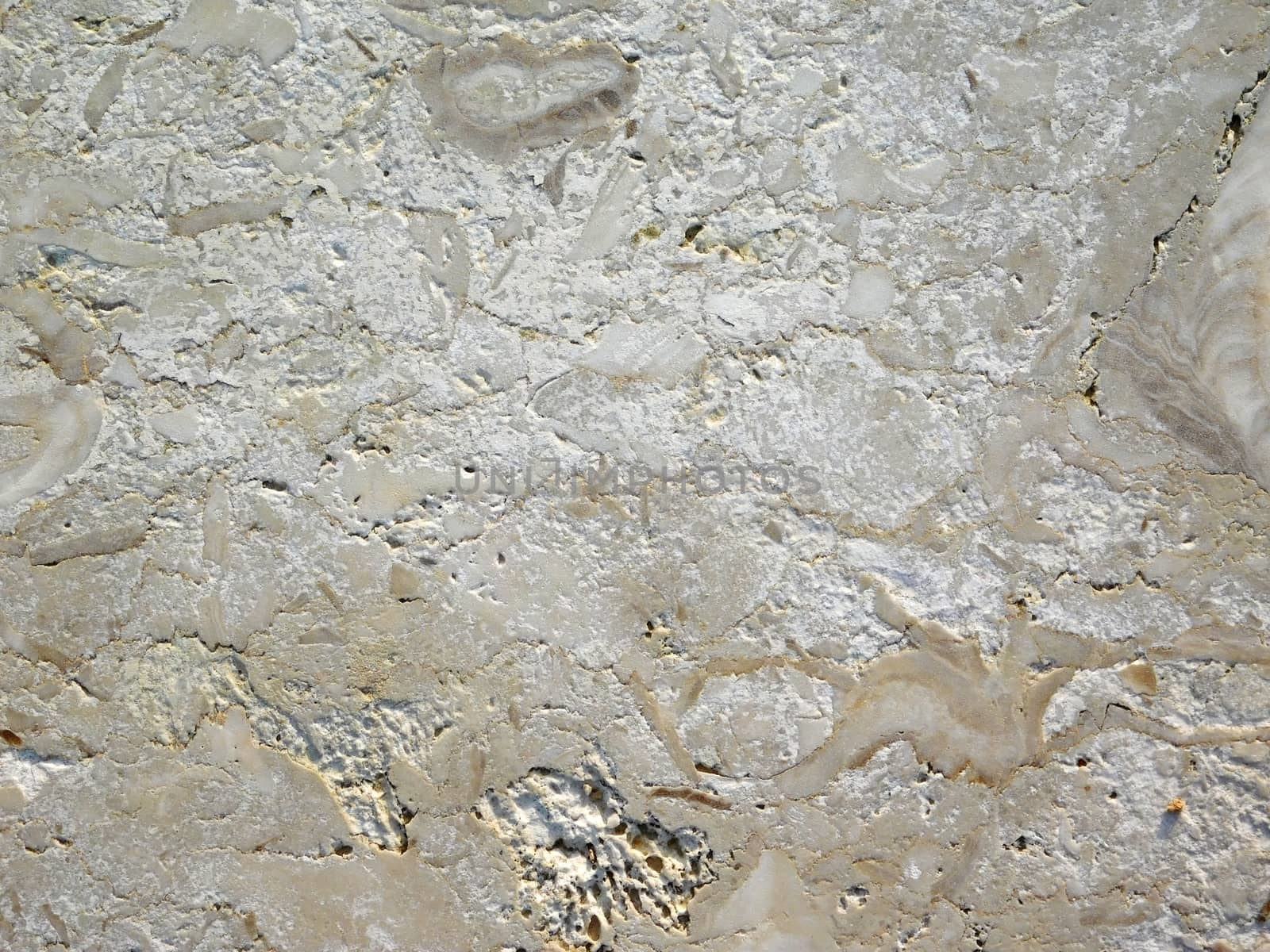marble texture