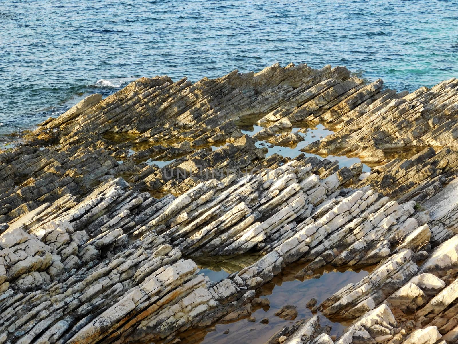 sea
