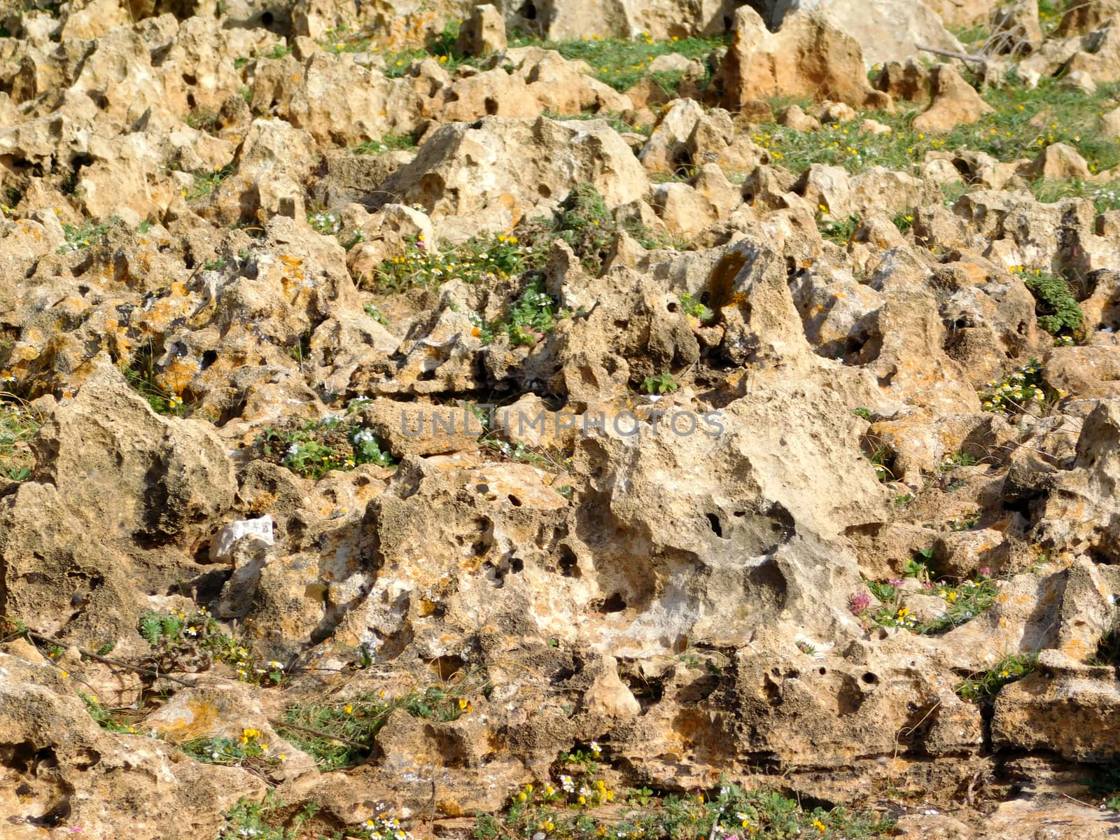 stone texture