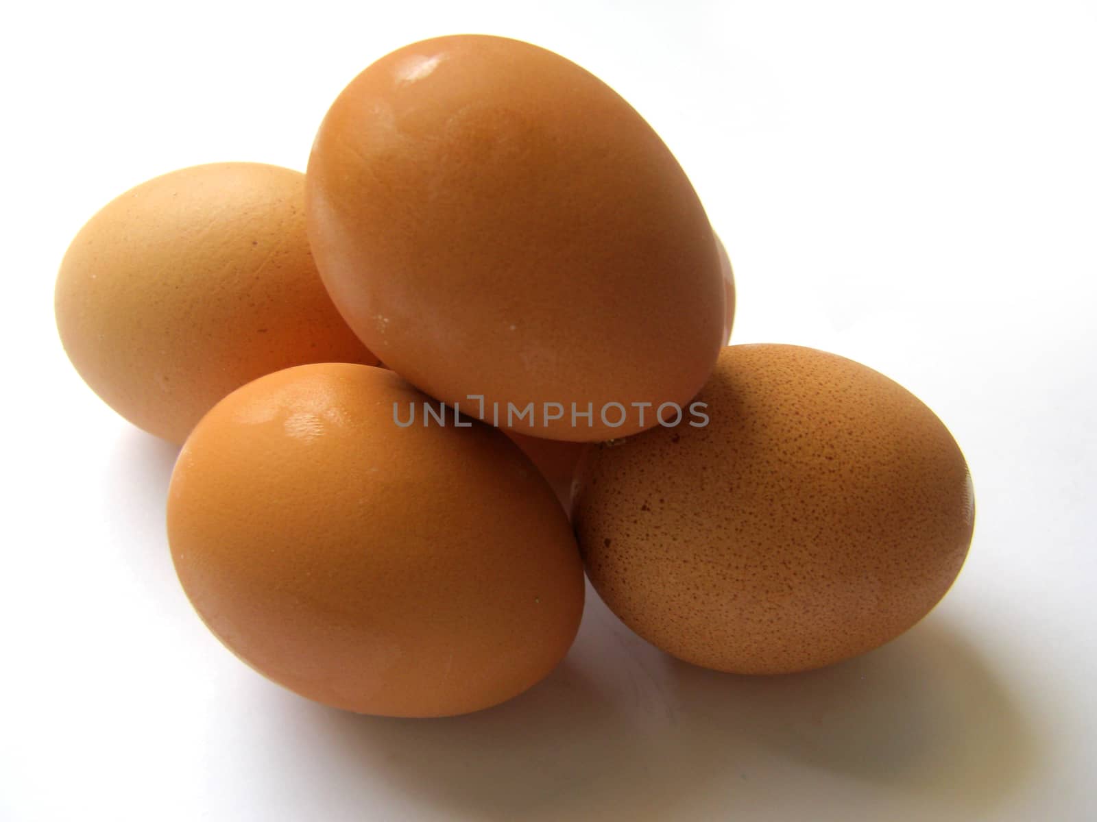 eggs