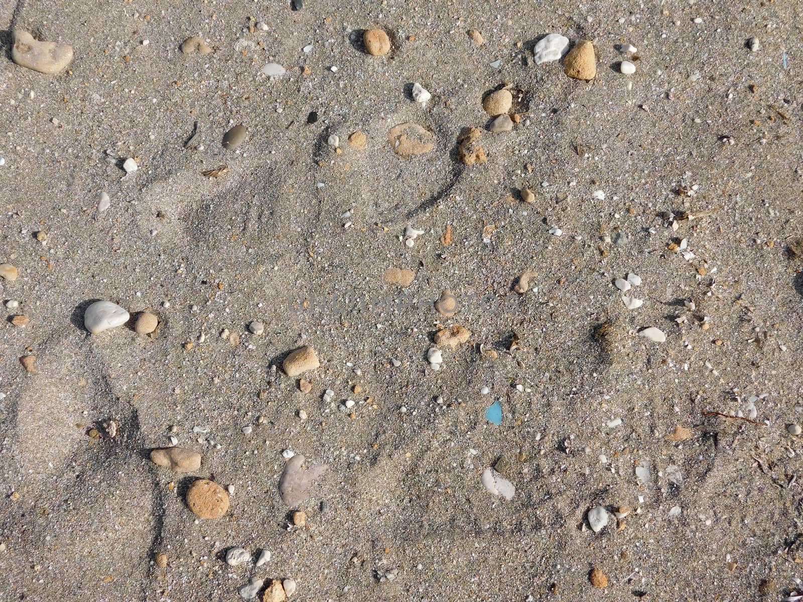 sand texture
