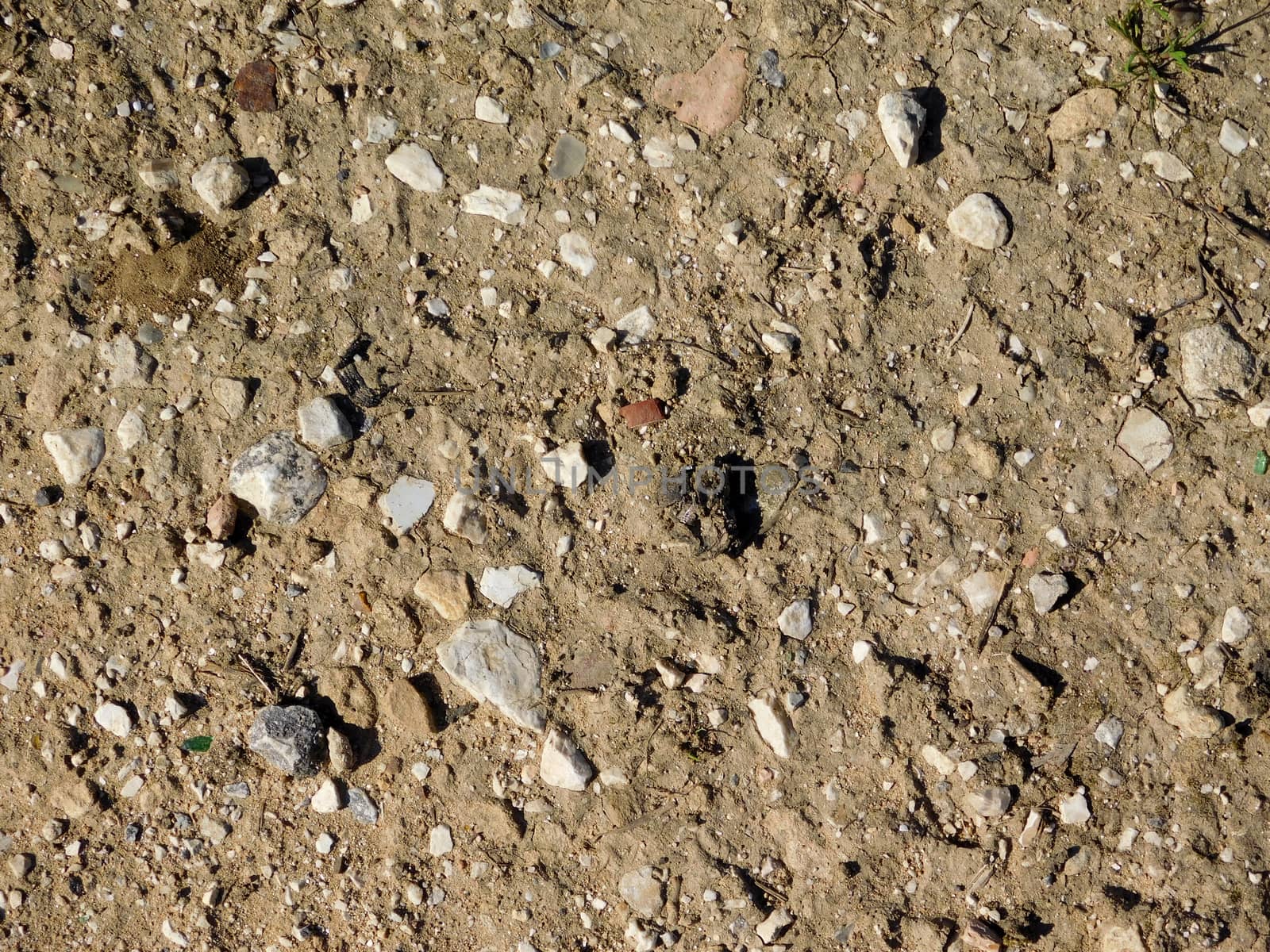 stone texture