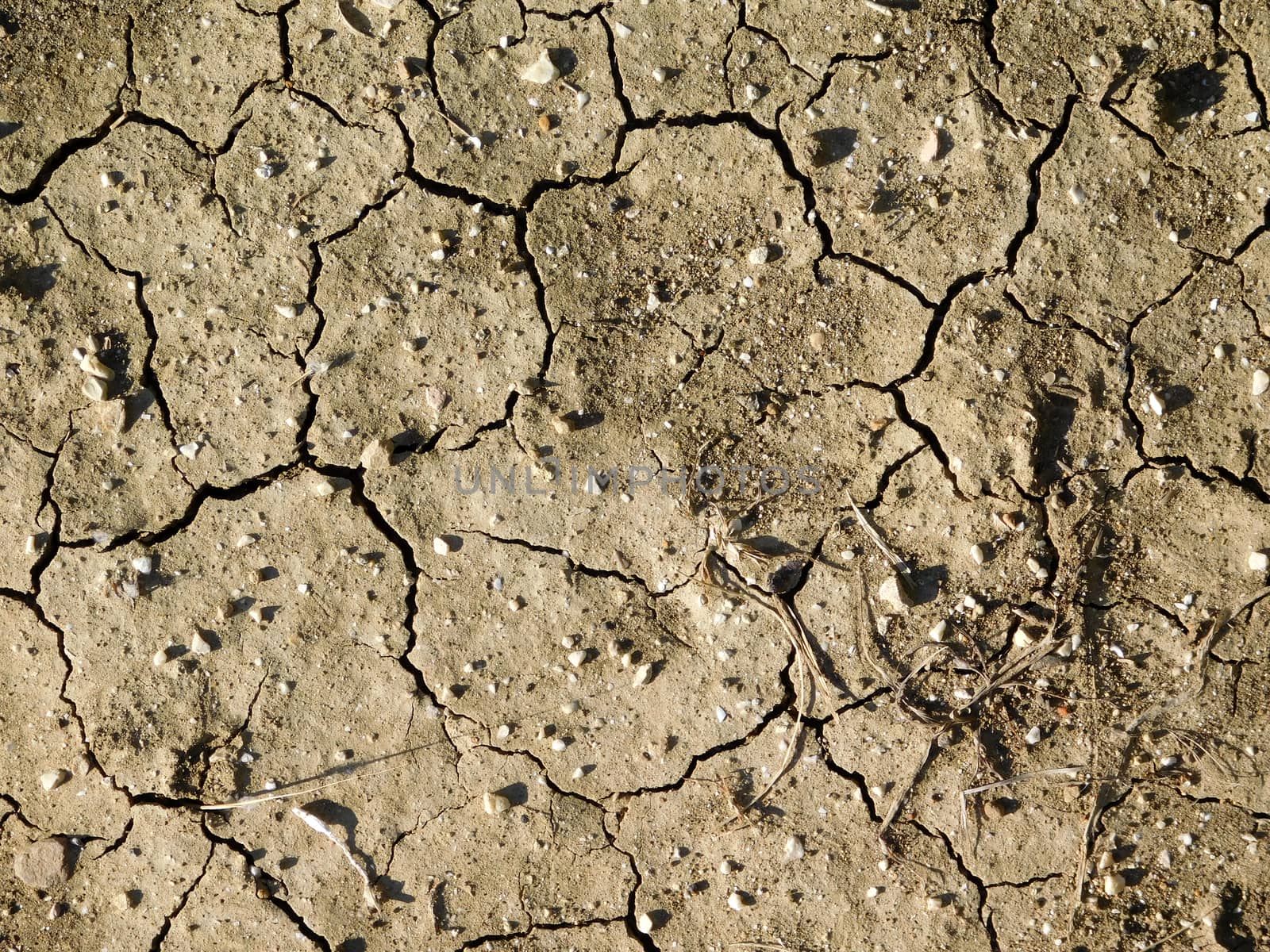 dry land texture