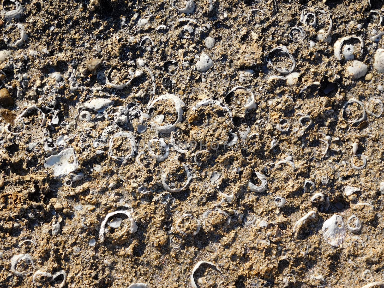 stone texture