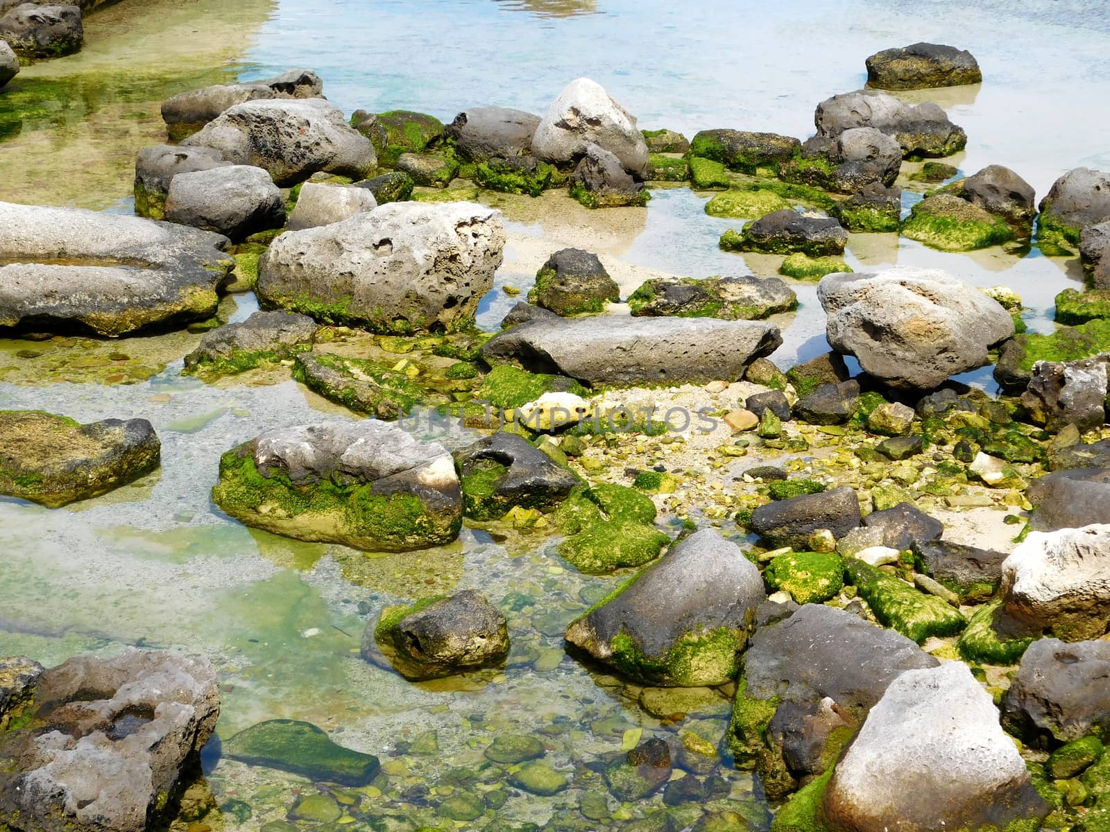 sea