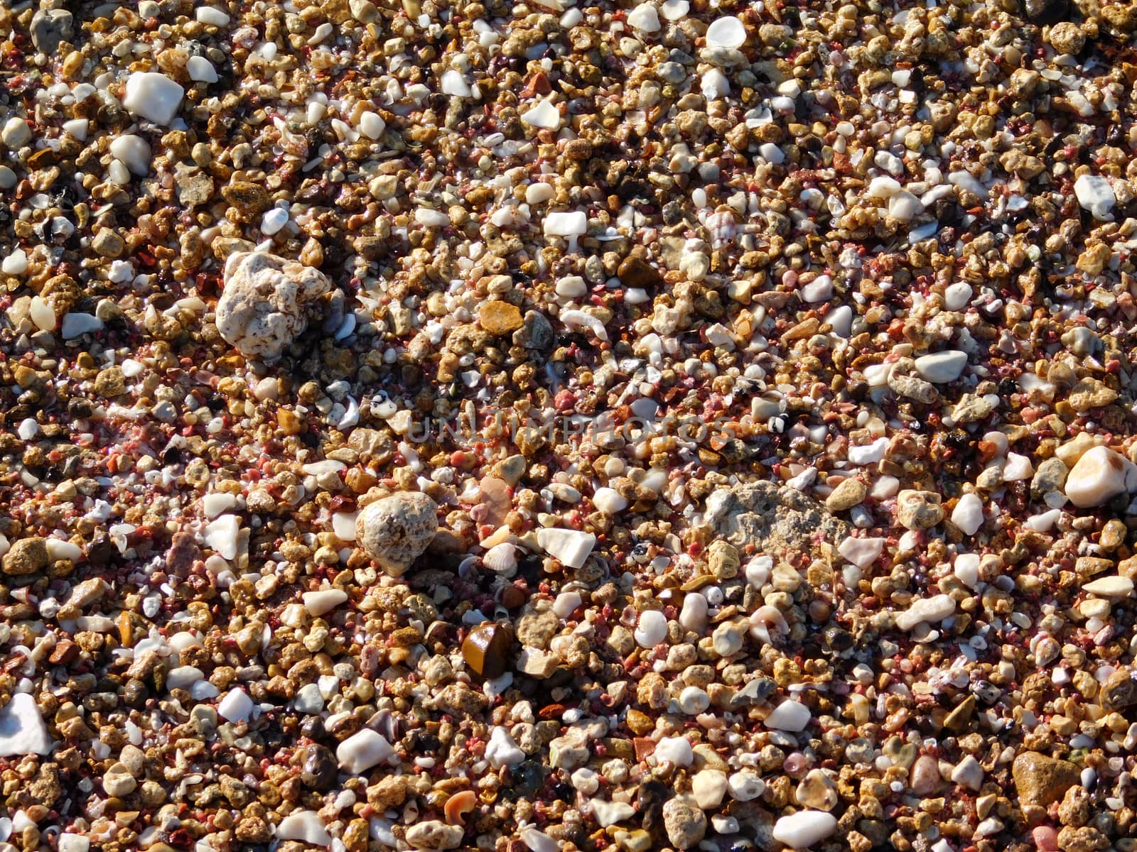earth texture