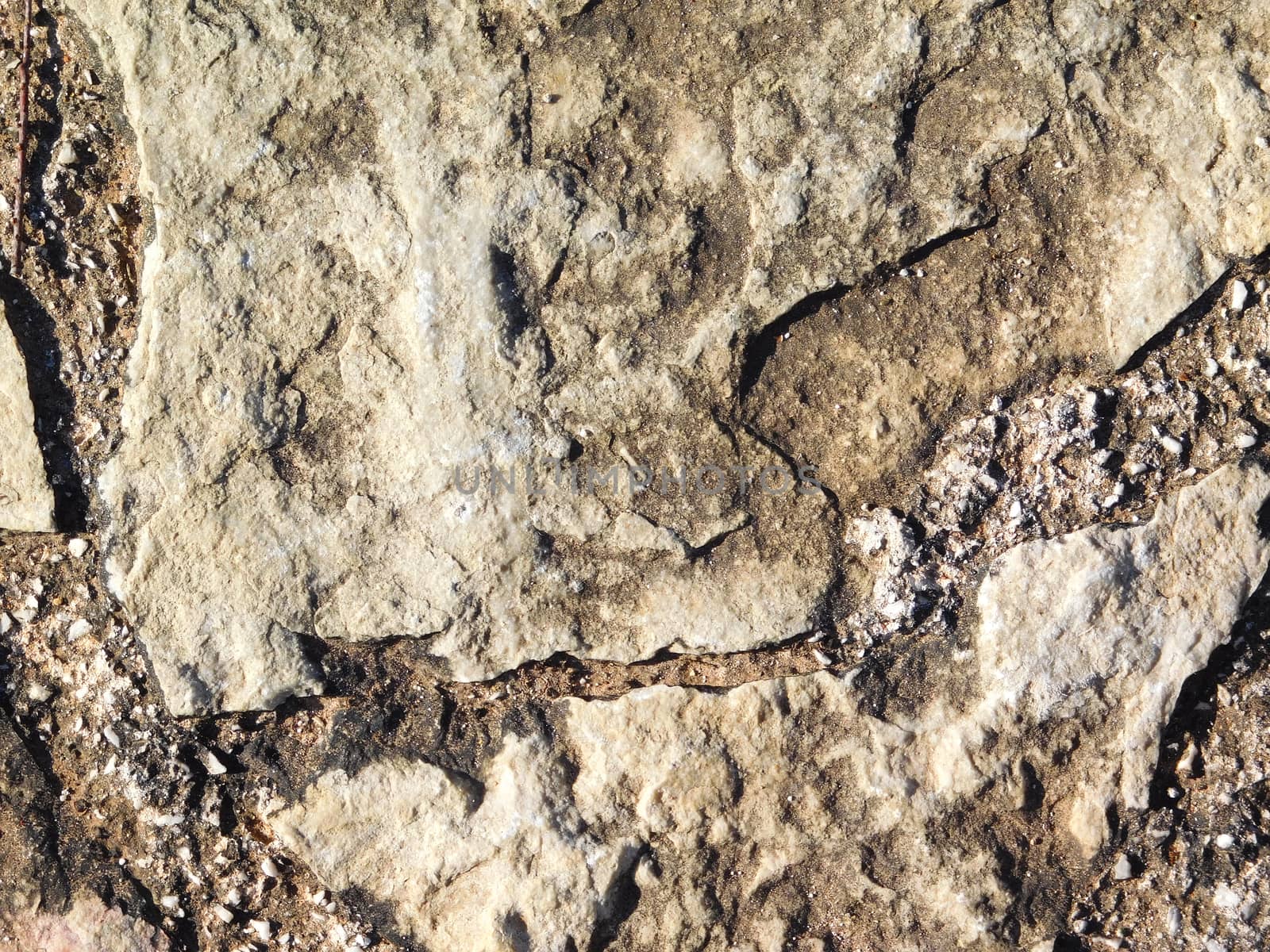 stone texture