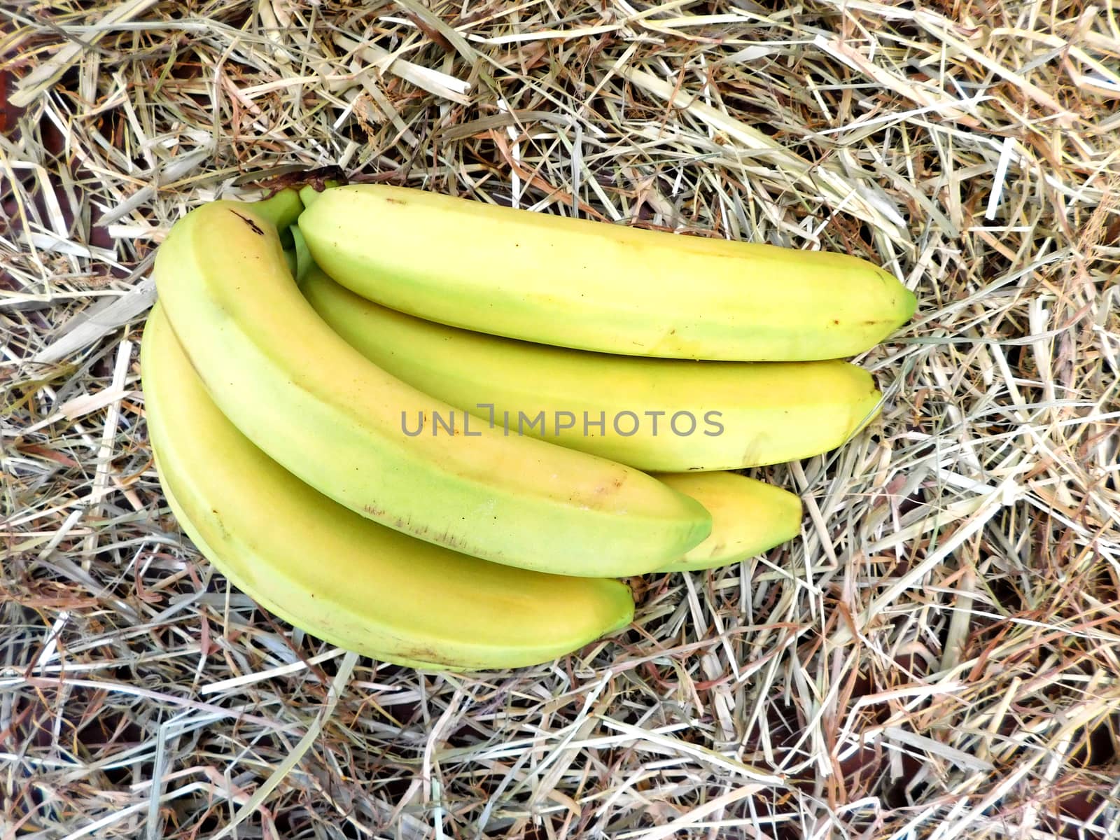 bananas