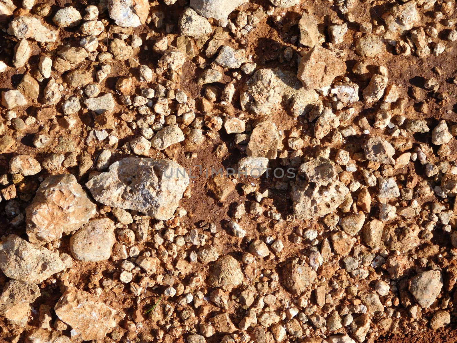 earth texture