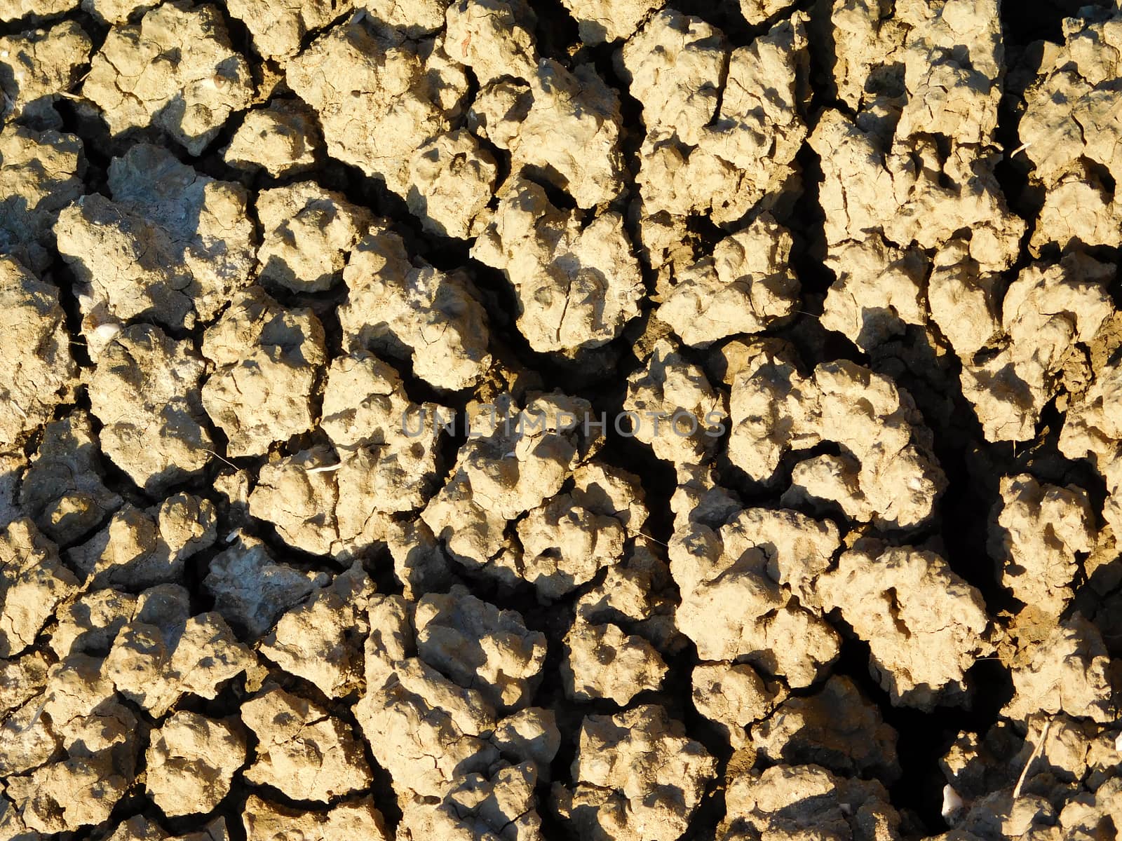 dry land texture