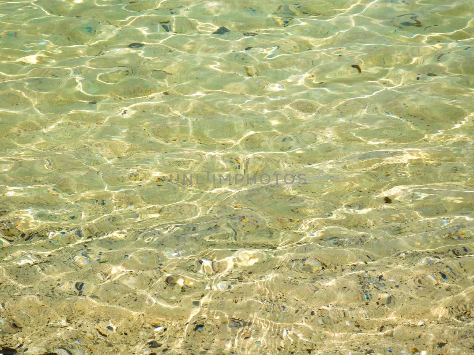 sea