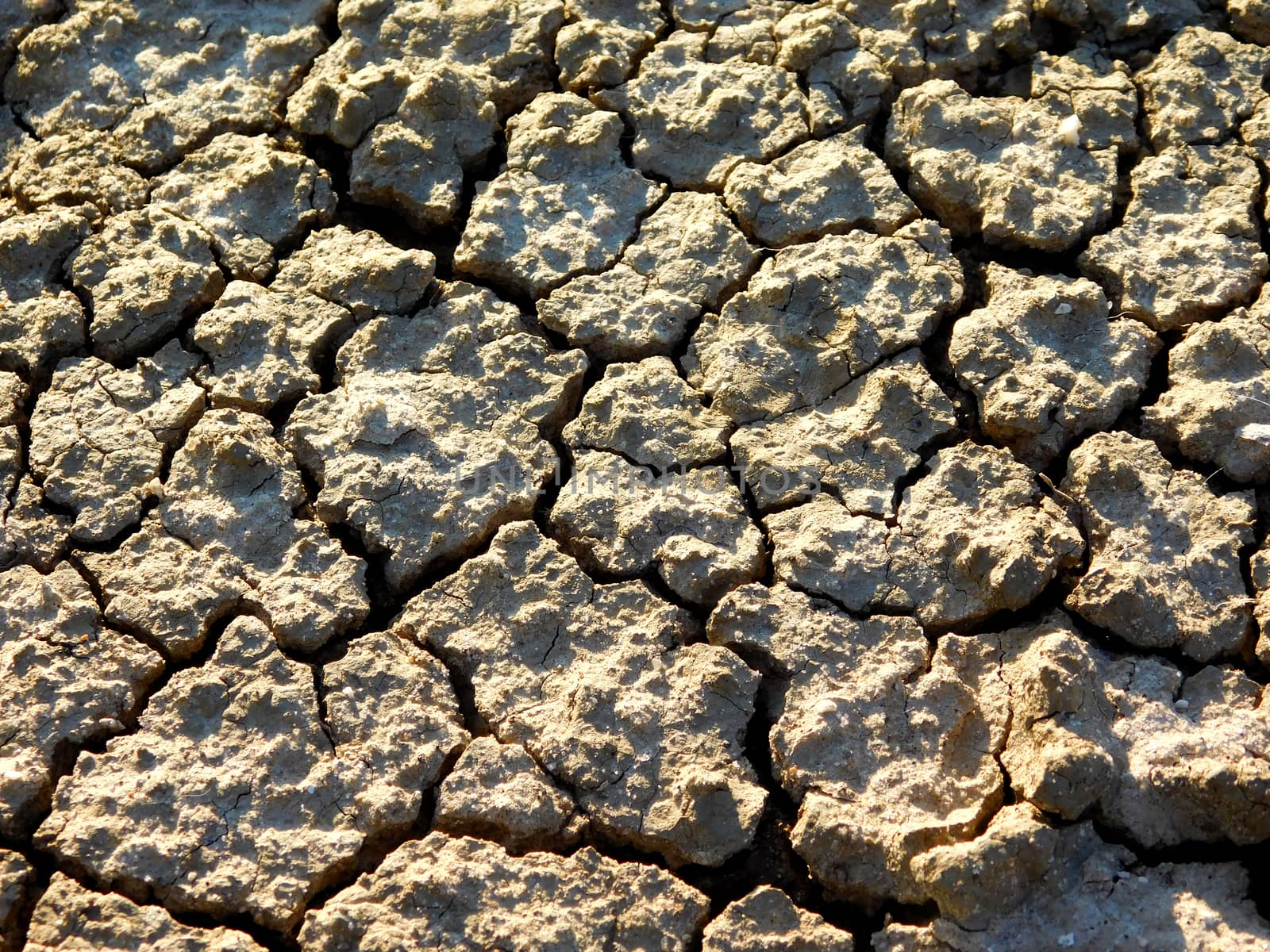 dry land texture