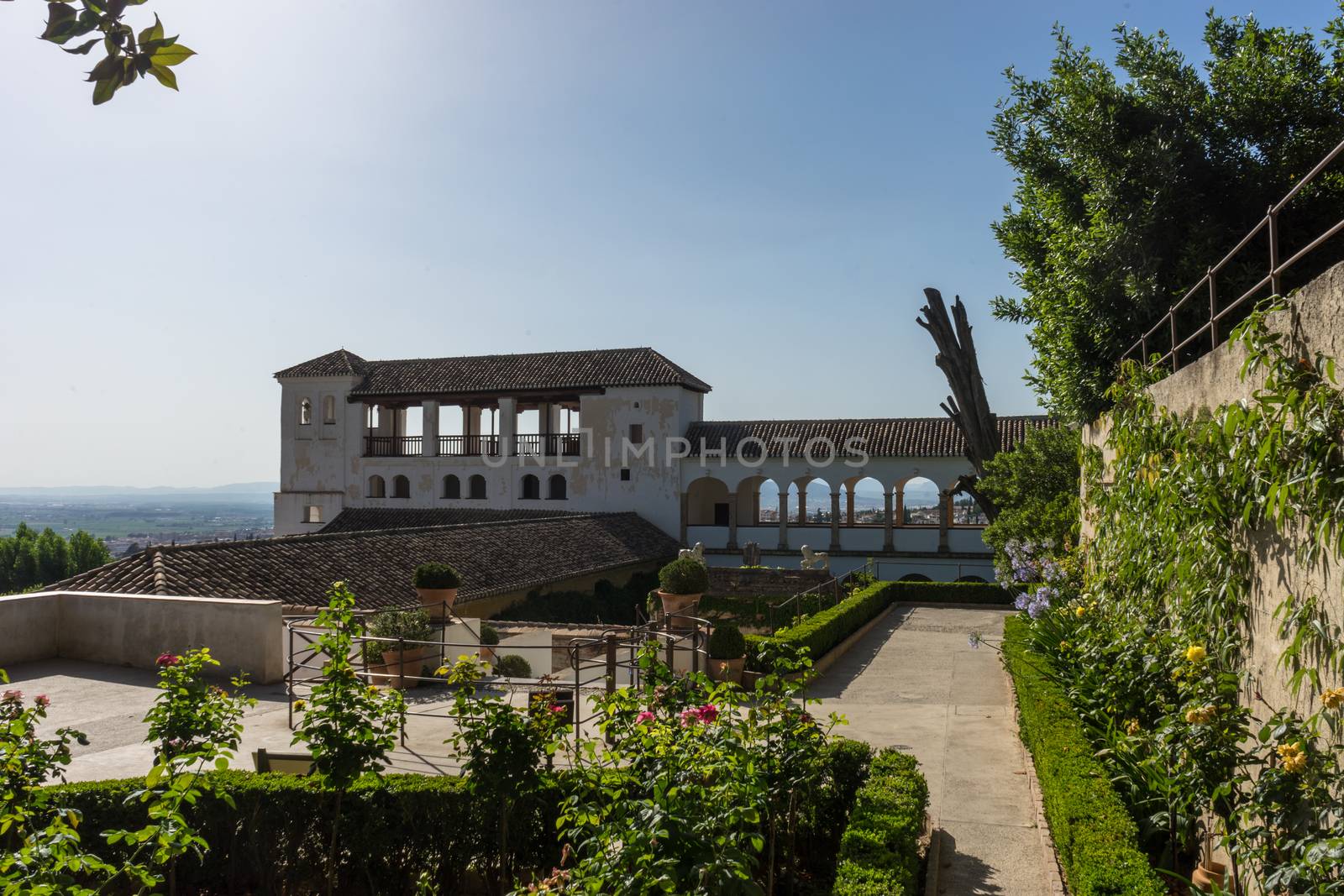 Beautiful view of the Generalife fountain and gardens in Alhambra. GRANADA, SPAIN on a bright sunny day