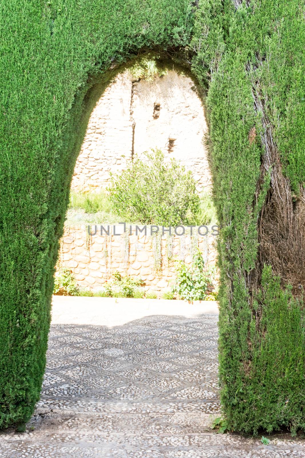 An arch at the Alhambra gardens in Granada, Spain, Europe on a bright summer day