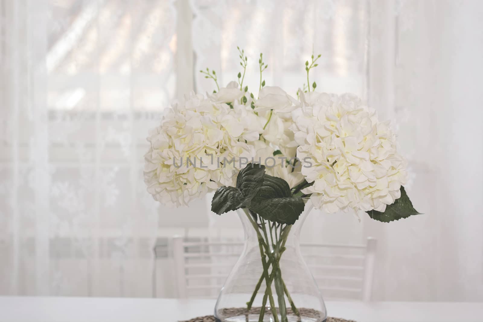 a bunch of white flowers in a glass jar on a white background