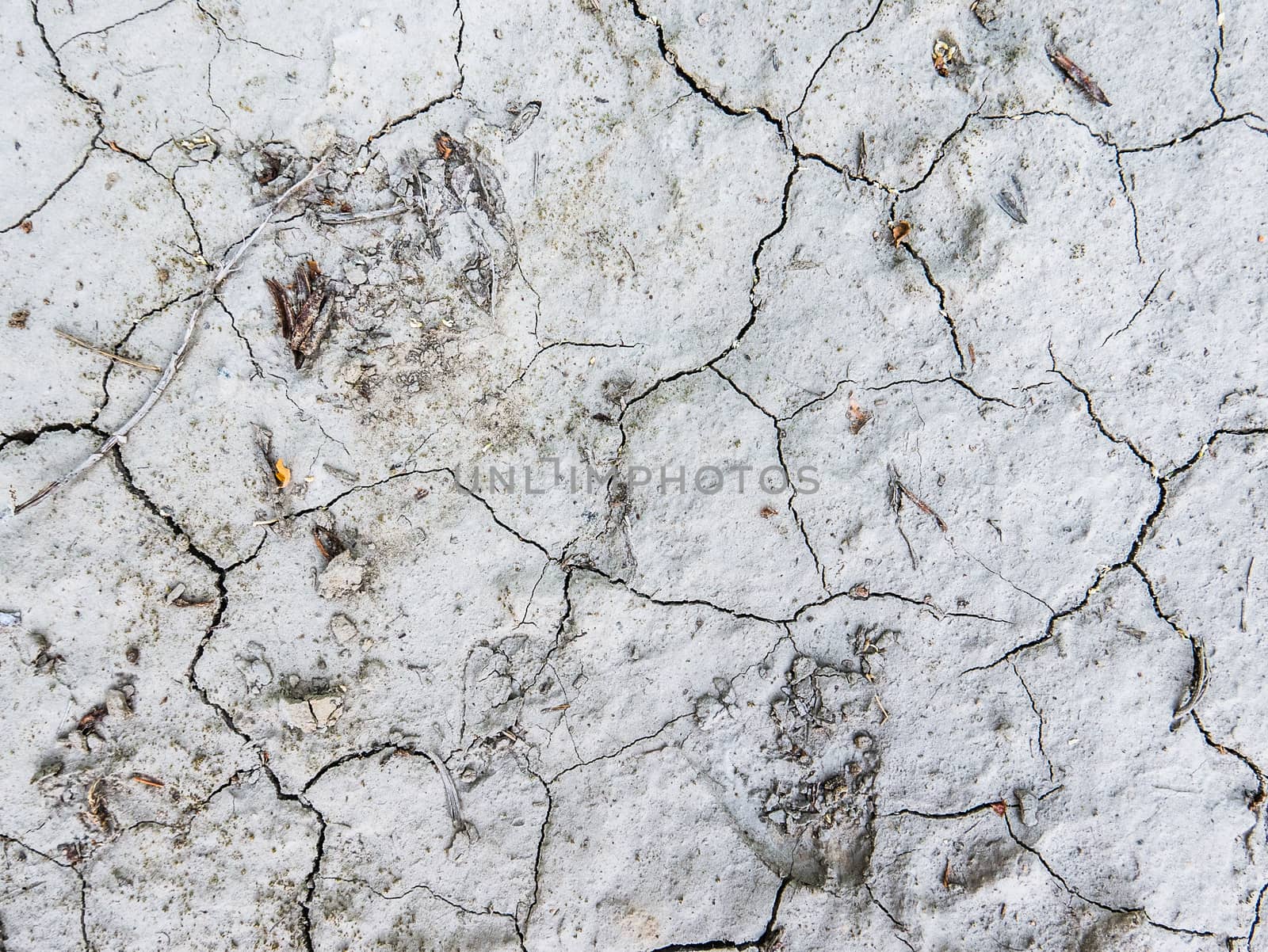 Abstract Close-Up Of Dry Cracked Ground In A Desert Area