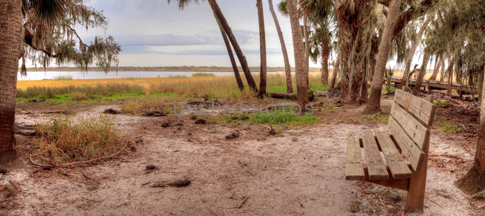 Bench at overlooking the wetland and marsh at the Myakka River State Park in Sarasota, Florida, USA