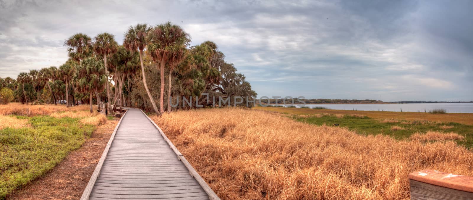 Boardwalk along the wetland and marsh at the Myakka River State Park in Sarasota, Florida, USA