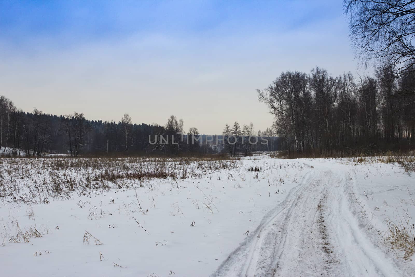 Winter road in the forest. Traces of cars in the snow. Sunset.