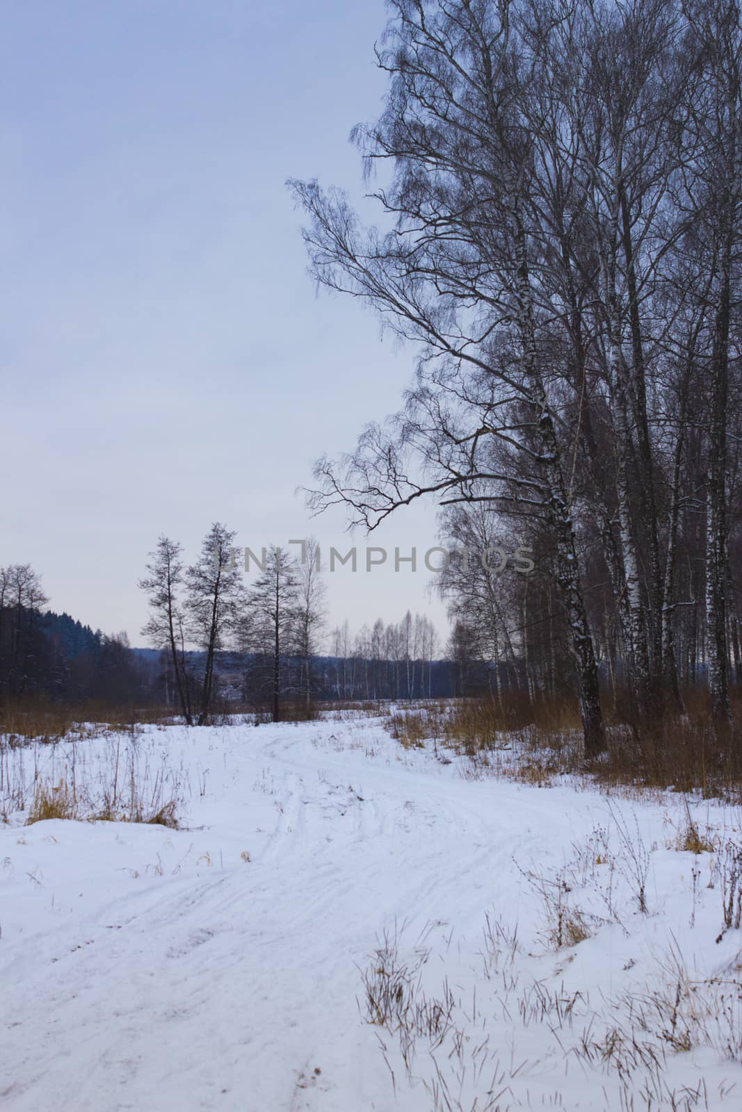 View on winter road. Pure snowy path with traces of the car. by mb71ph