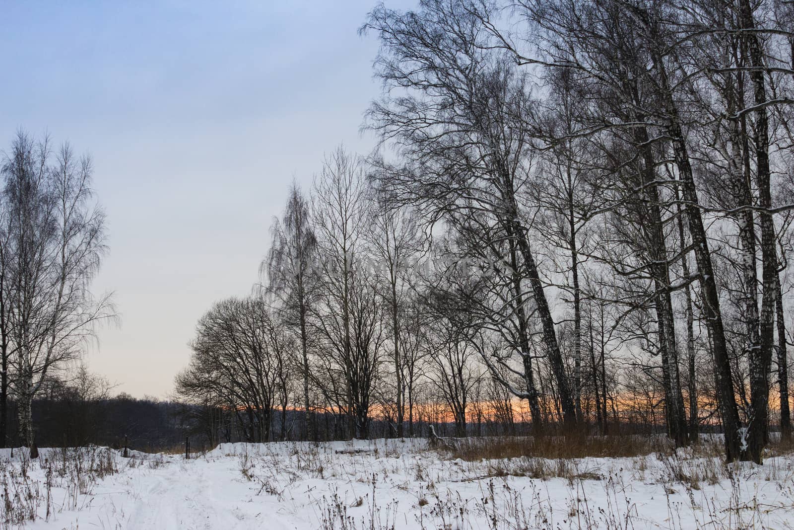 Winter road in the forest. Traces of cars in the snow. Sunset.